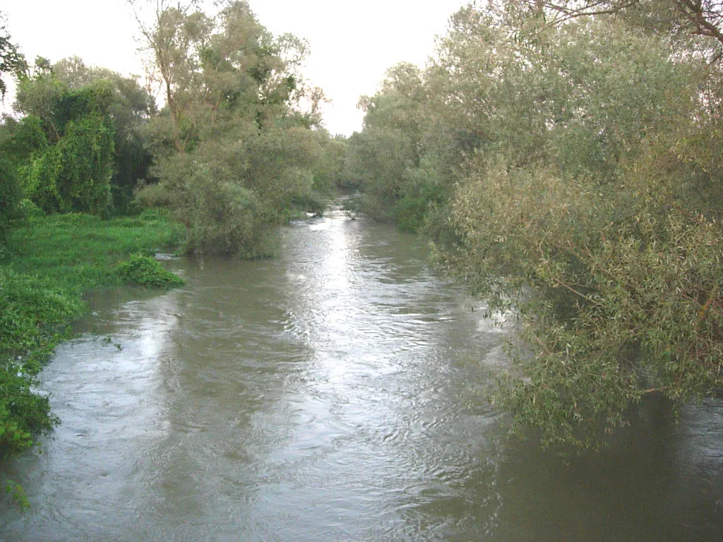 Photo showing: The Karaš River near Dobričevo.