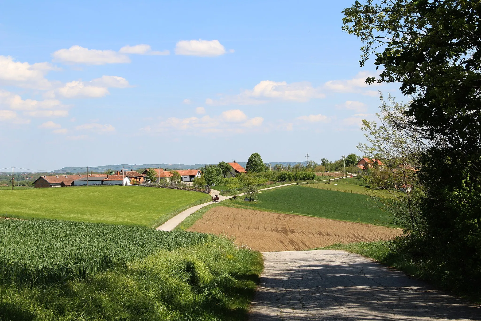 Photo showing: Zabrdica village - Municipality of Valjevo - Western Serbia - Panorama 3