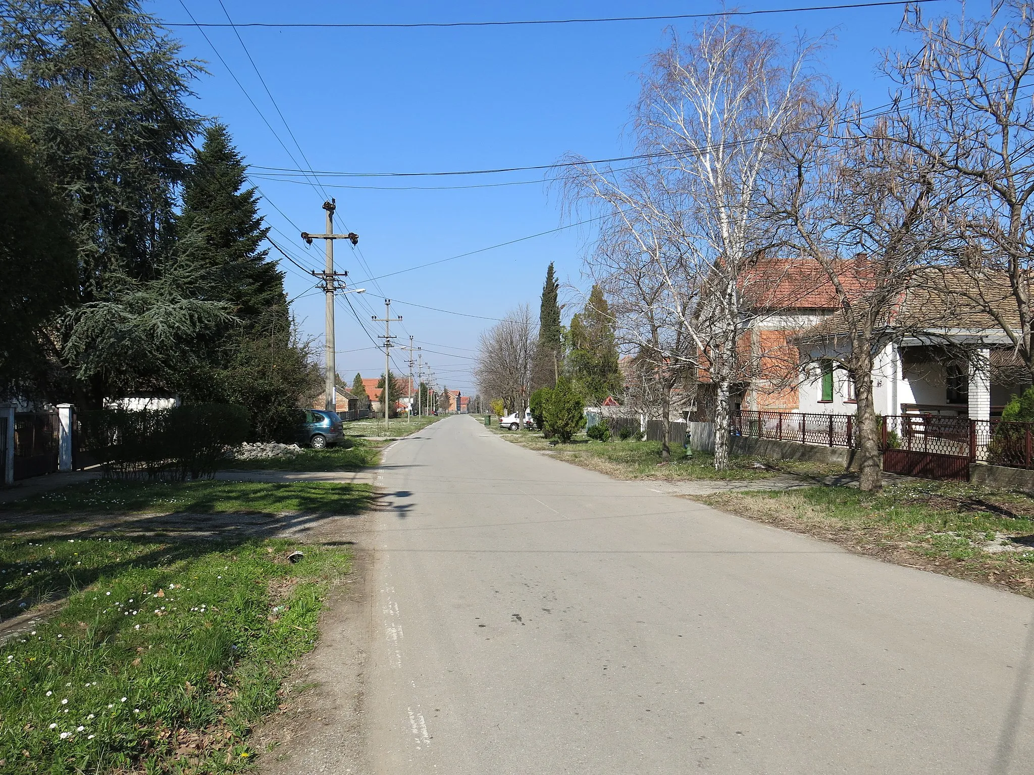 Photo showing: Rucka, Street