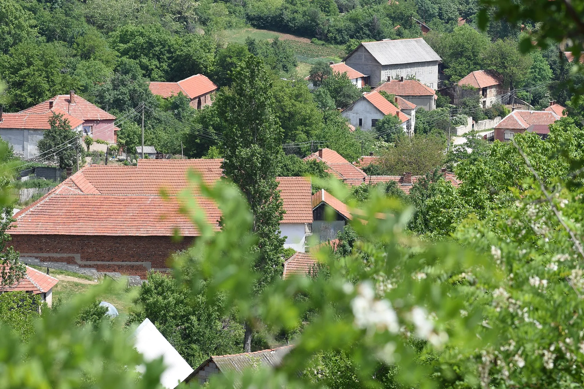 Photo showing: Panorama dela Bučja.