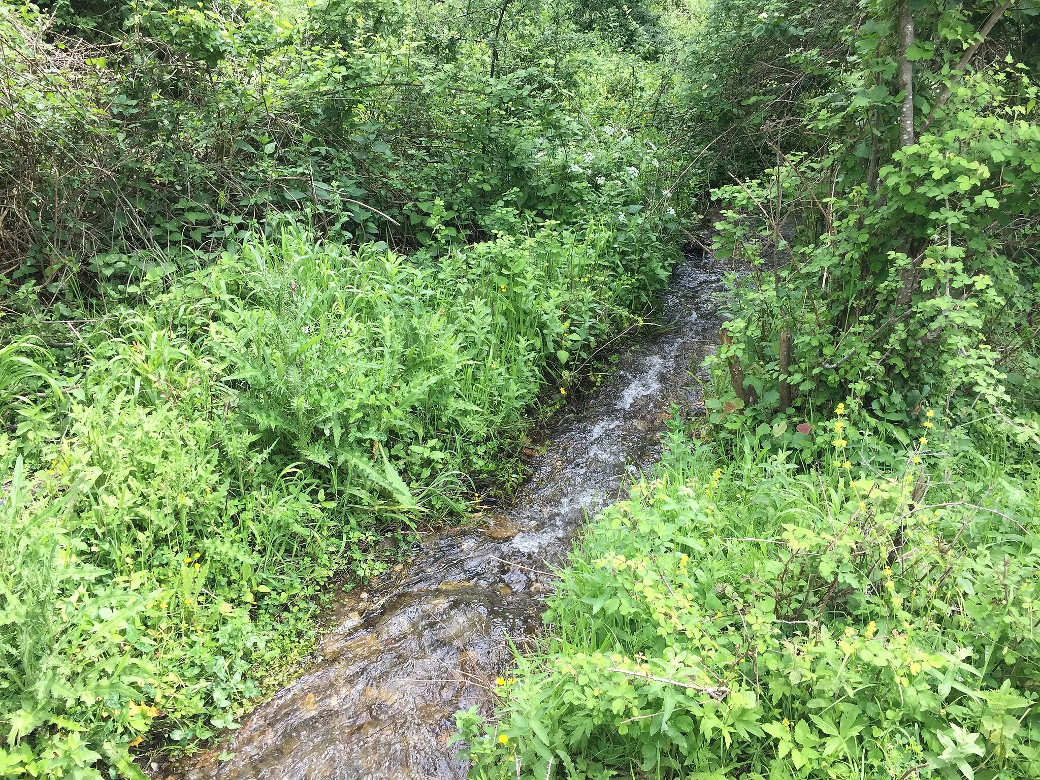 Photo showing: Rastanska River