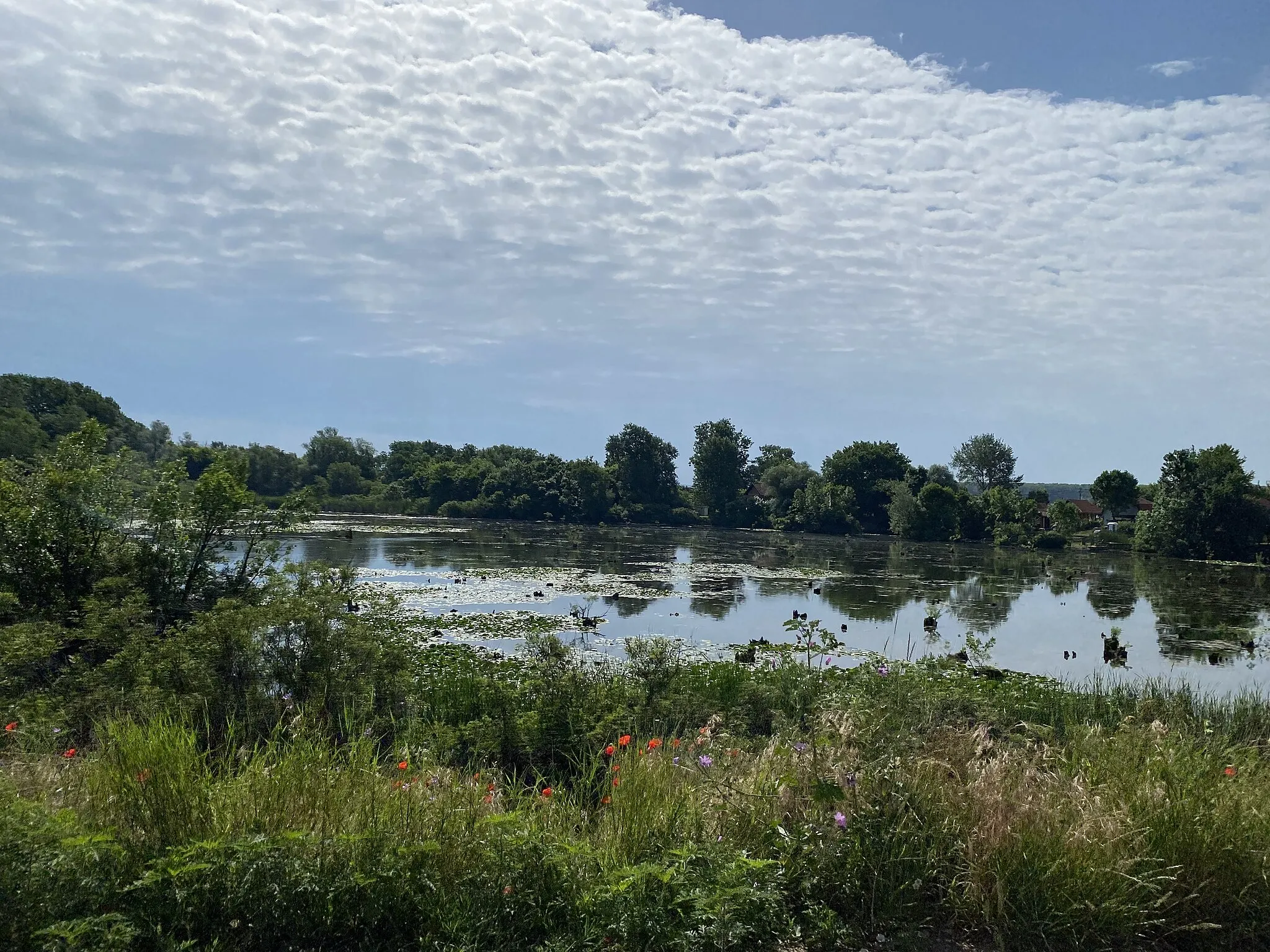 Photo showing: A pond in Dubovac