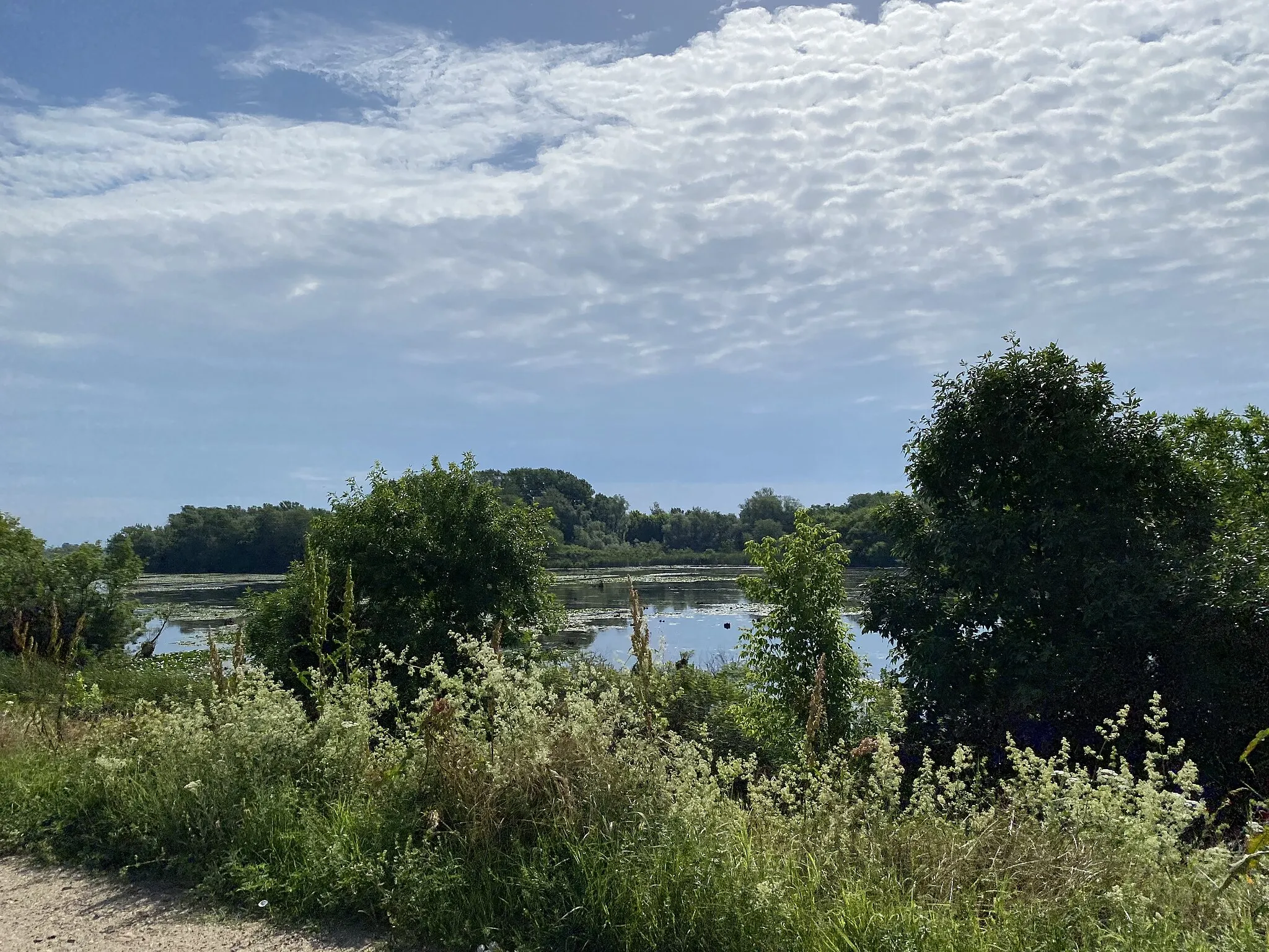 Photo showing: A pond in Dubovac