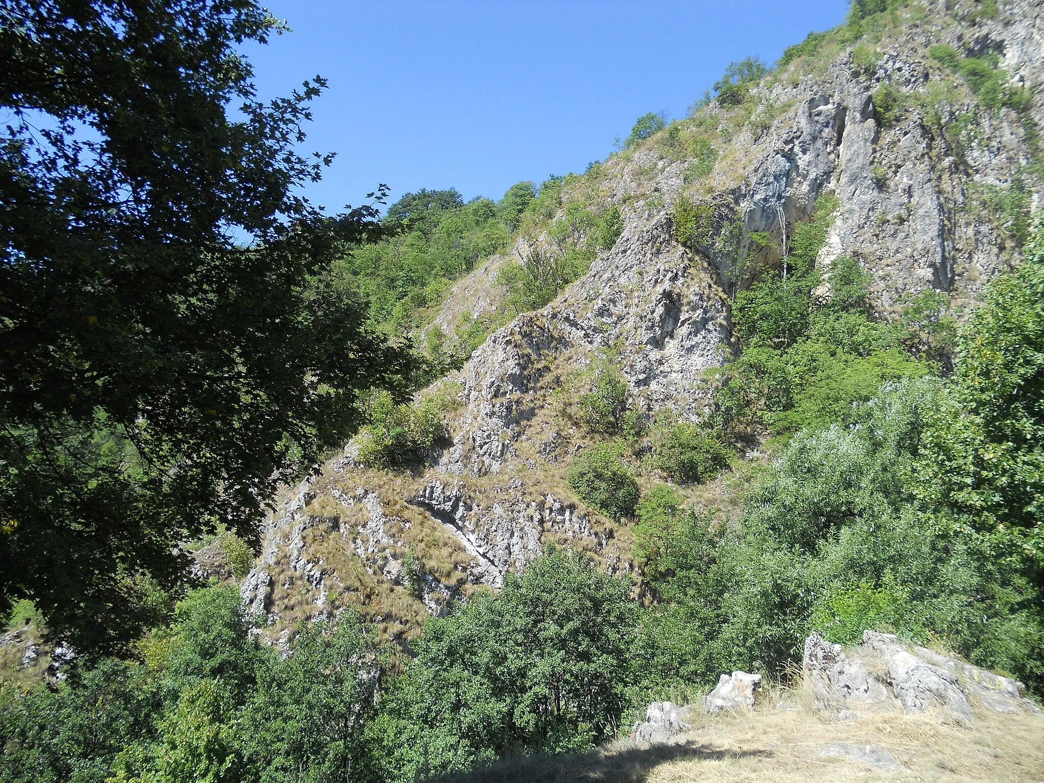 Photo showing: Dubočka pećina