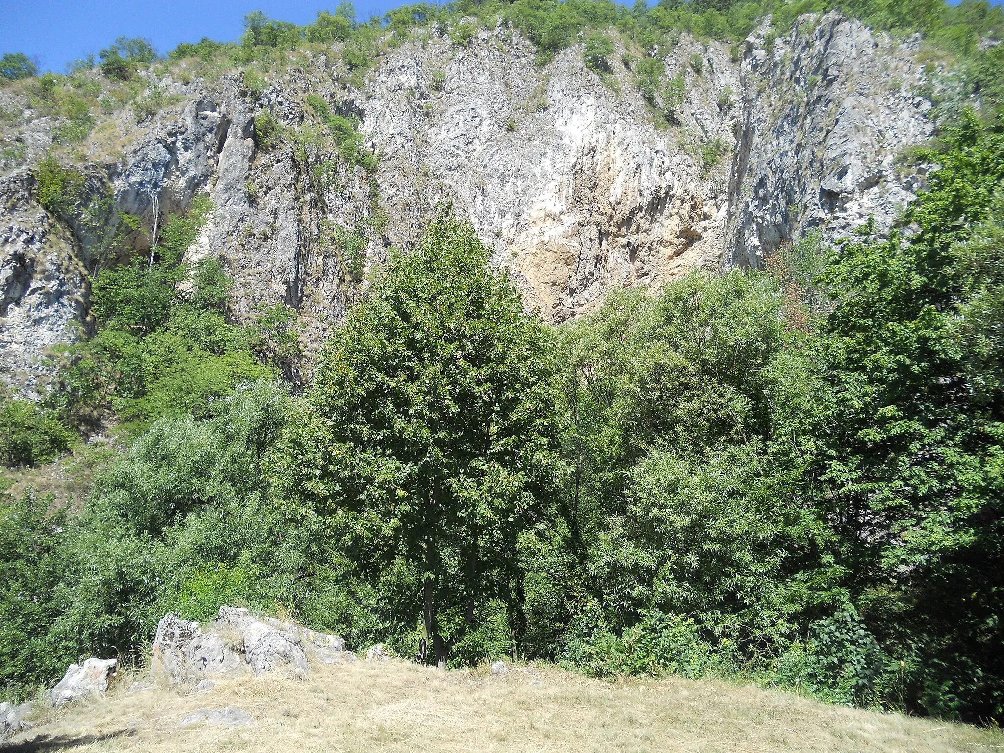 Photo showing: Dubočka pećina