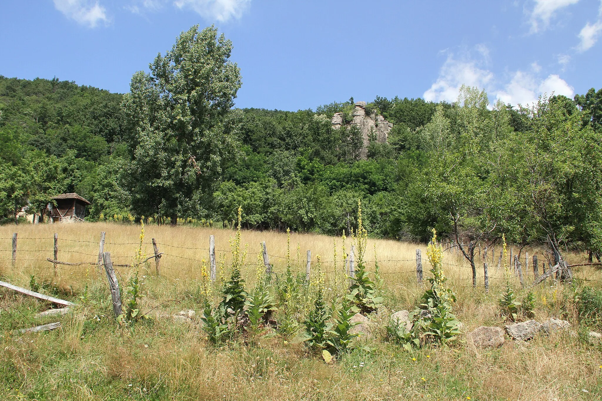 Photo showing: Gornja Crnuća