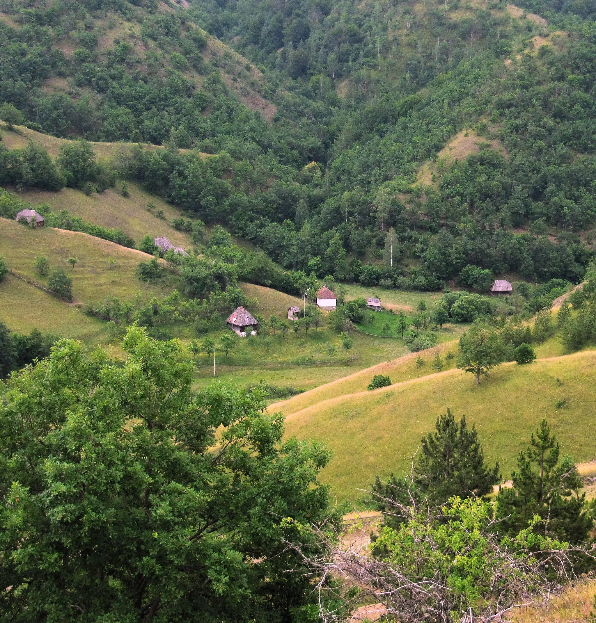 Photo showing: Semegnjevo - Bare