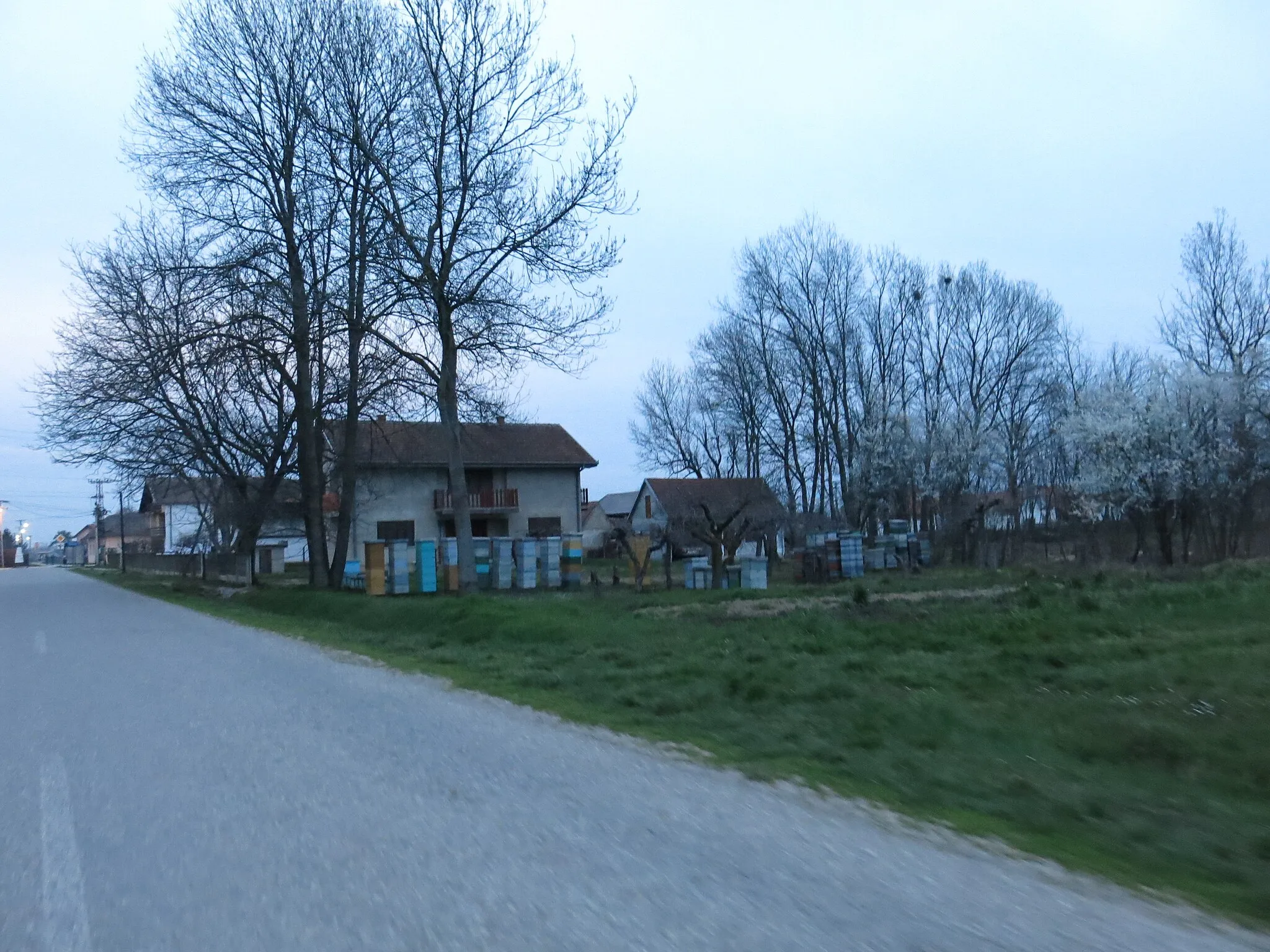 Photo showing: Skrađani, Street