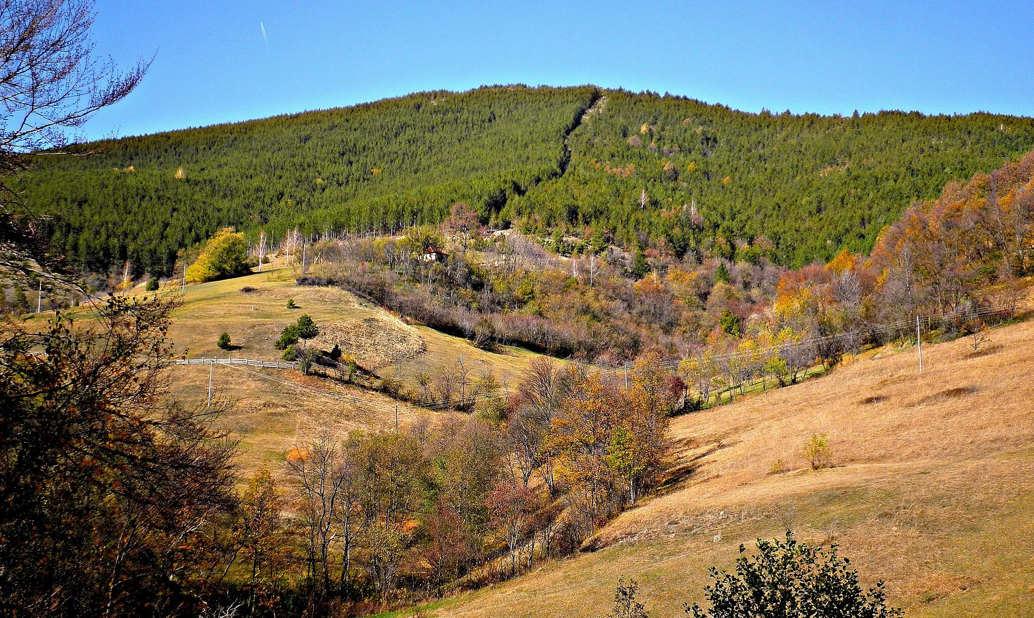 Photo showing: Brezna near town Kraljevo, between mountains Goc, Studena and Stolovi.