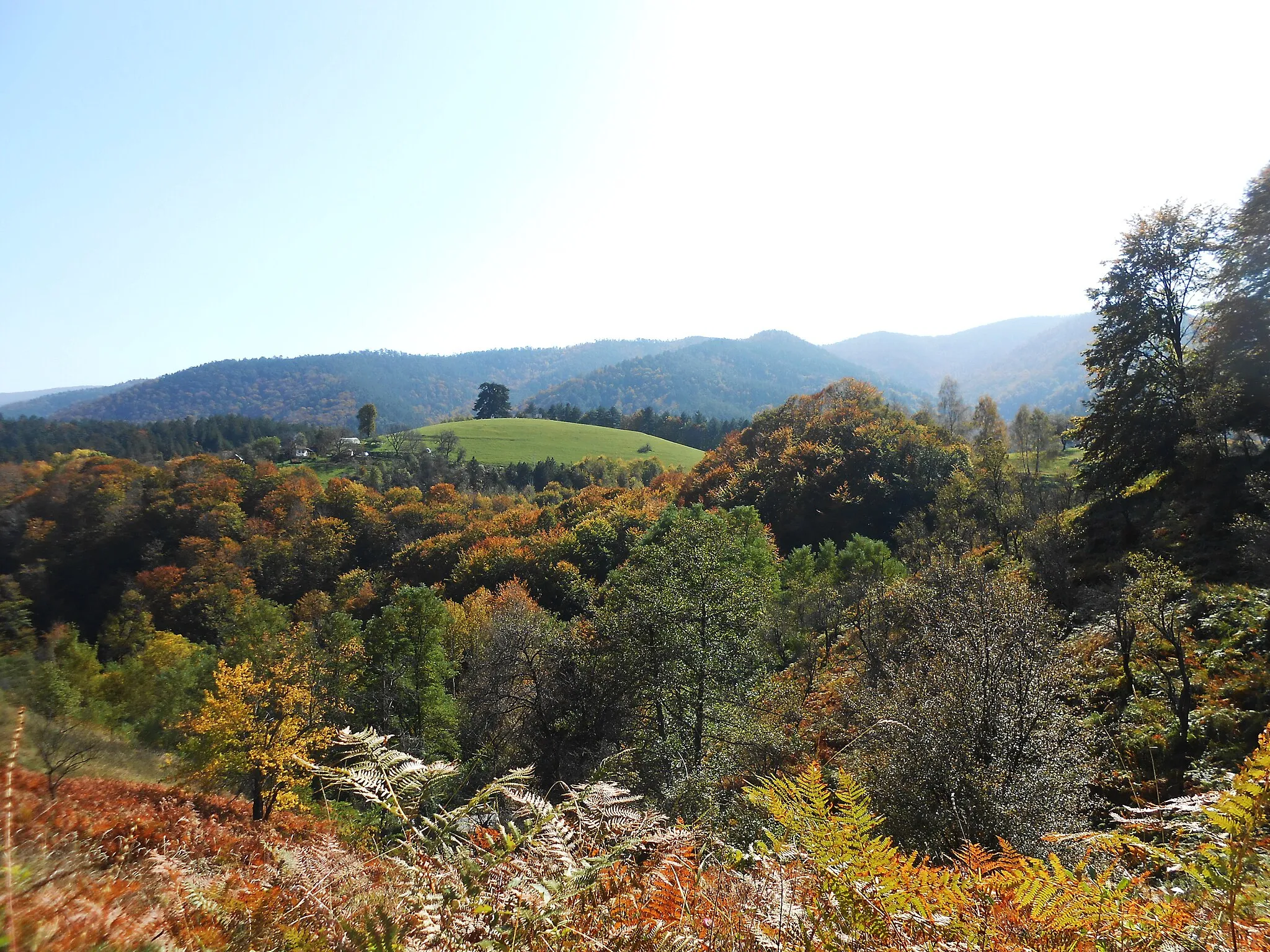 Photo showing: Brezna near town Kraljevo, between mountains Goc, Studena and Stolovi.