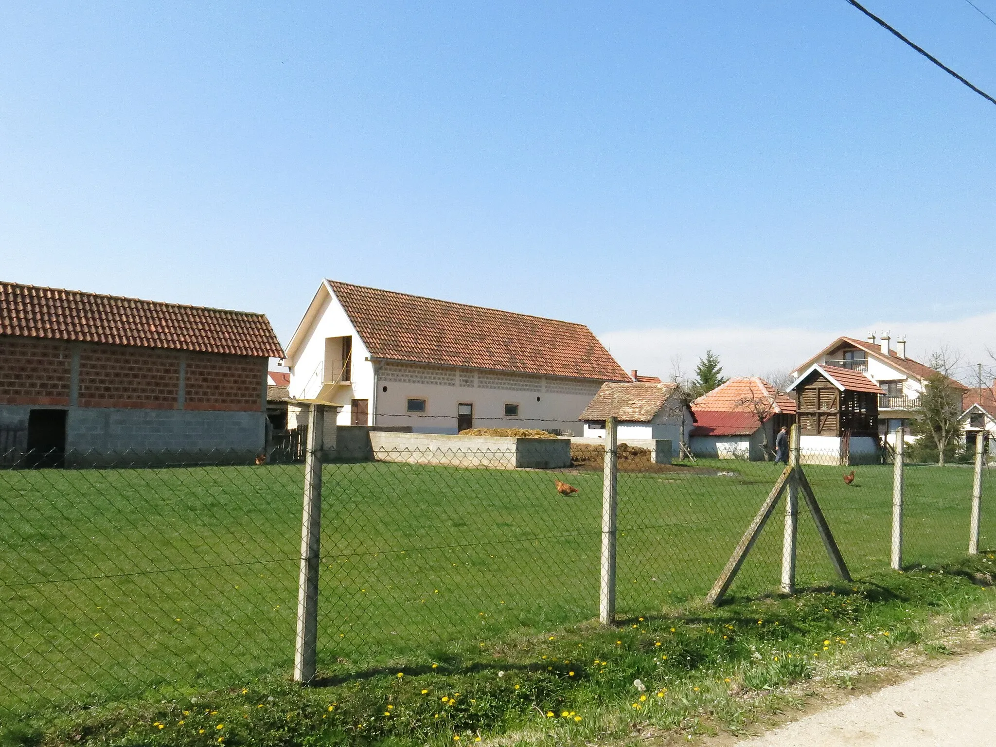 Photo showing: Ušće, Street