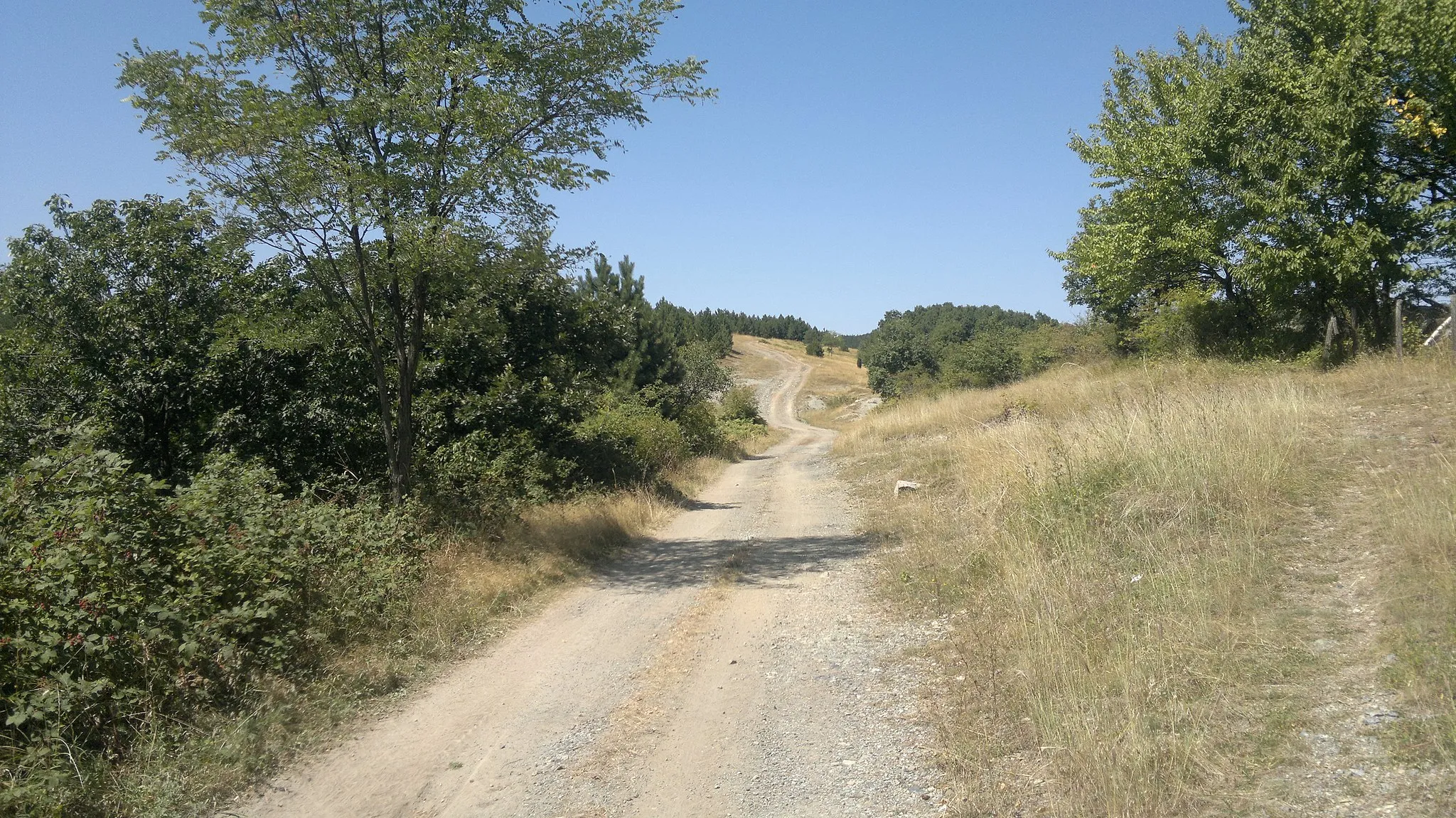 Photo showing: Iz Koštunića za Ravnu goru