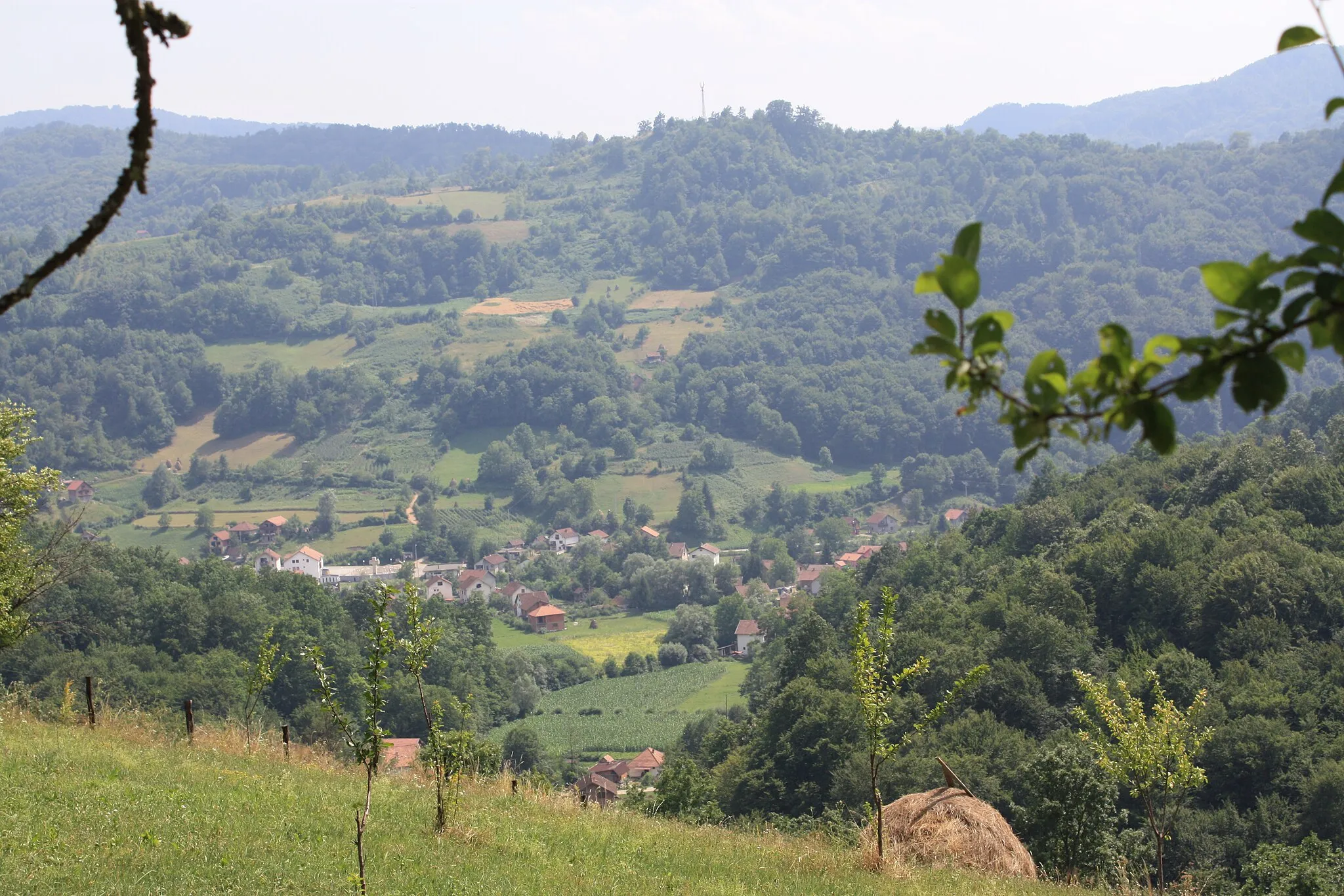 Photo showing: Kravička zelena dolina