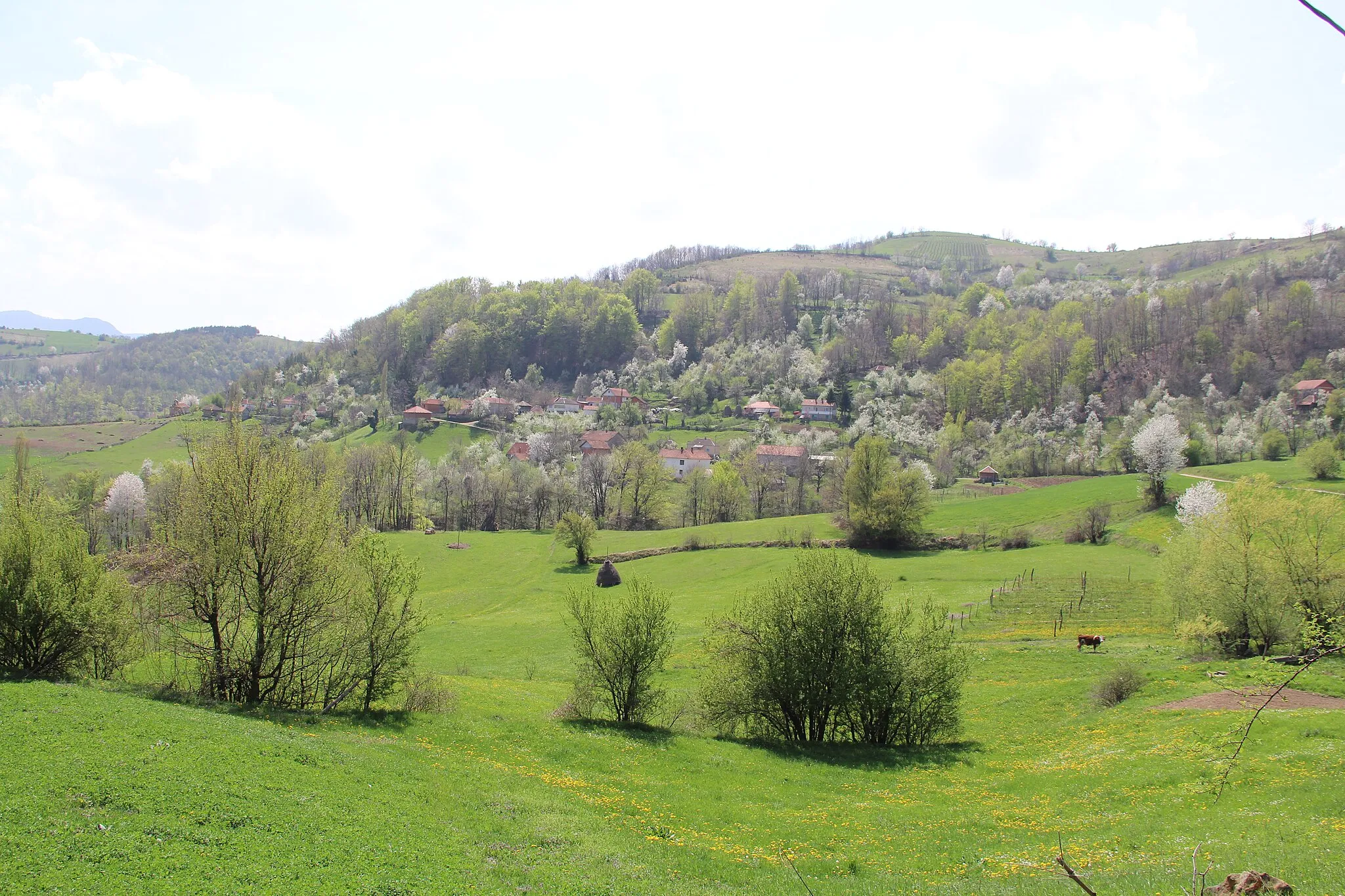 Photo showing: Mijači village - Municipality of Valjevo - Western Serbia - Panorama 17