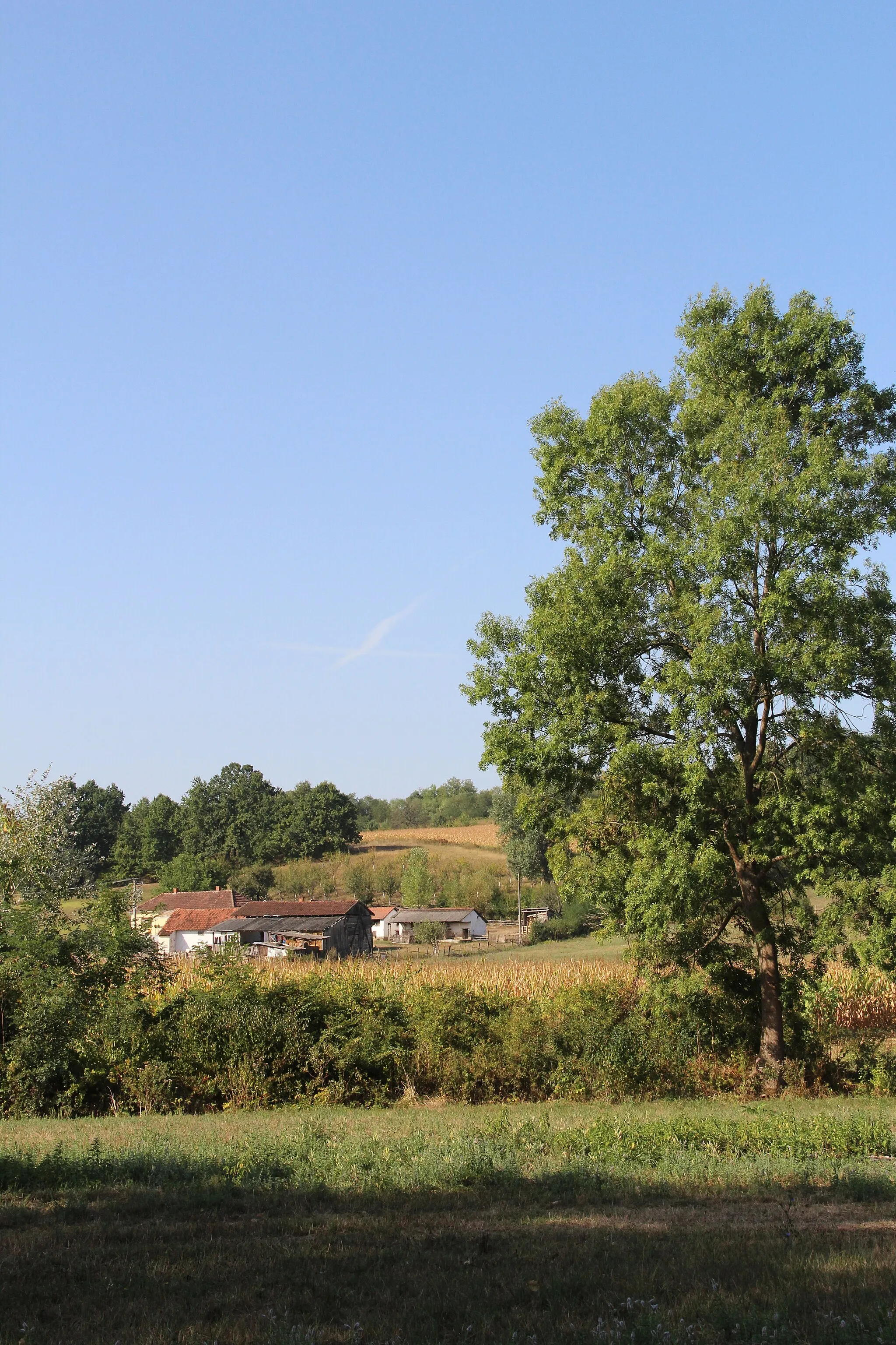 Photo showing: Virovac village - Municipality of Valjevo - Western Serbia - Panorama 6