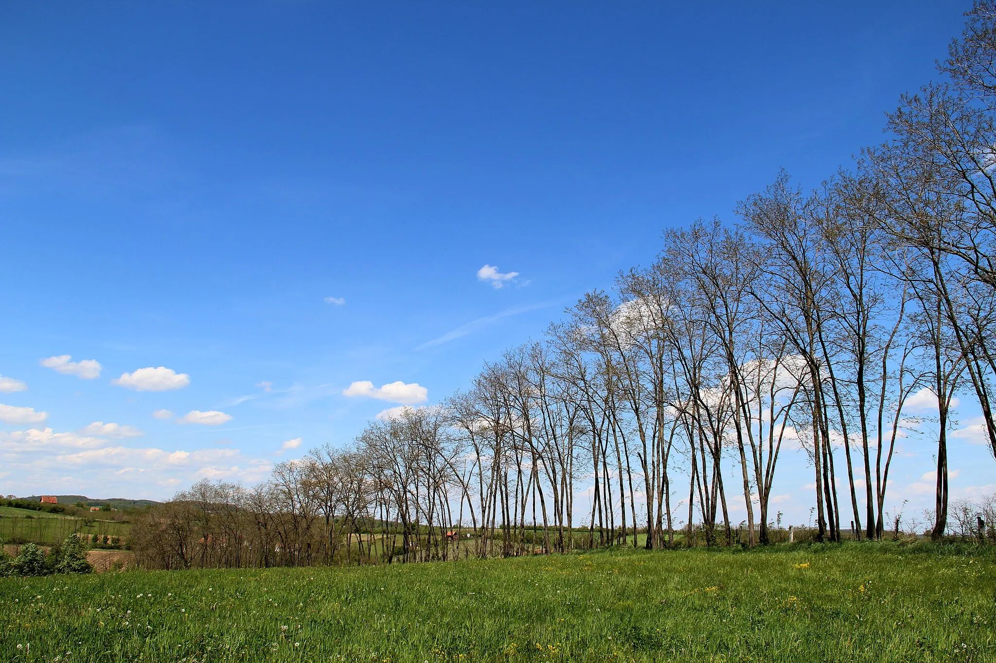 Photo showing: Jazovik village - Municipality of Valjevo - Western Serbia - Panorama 1