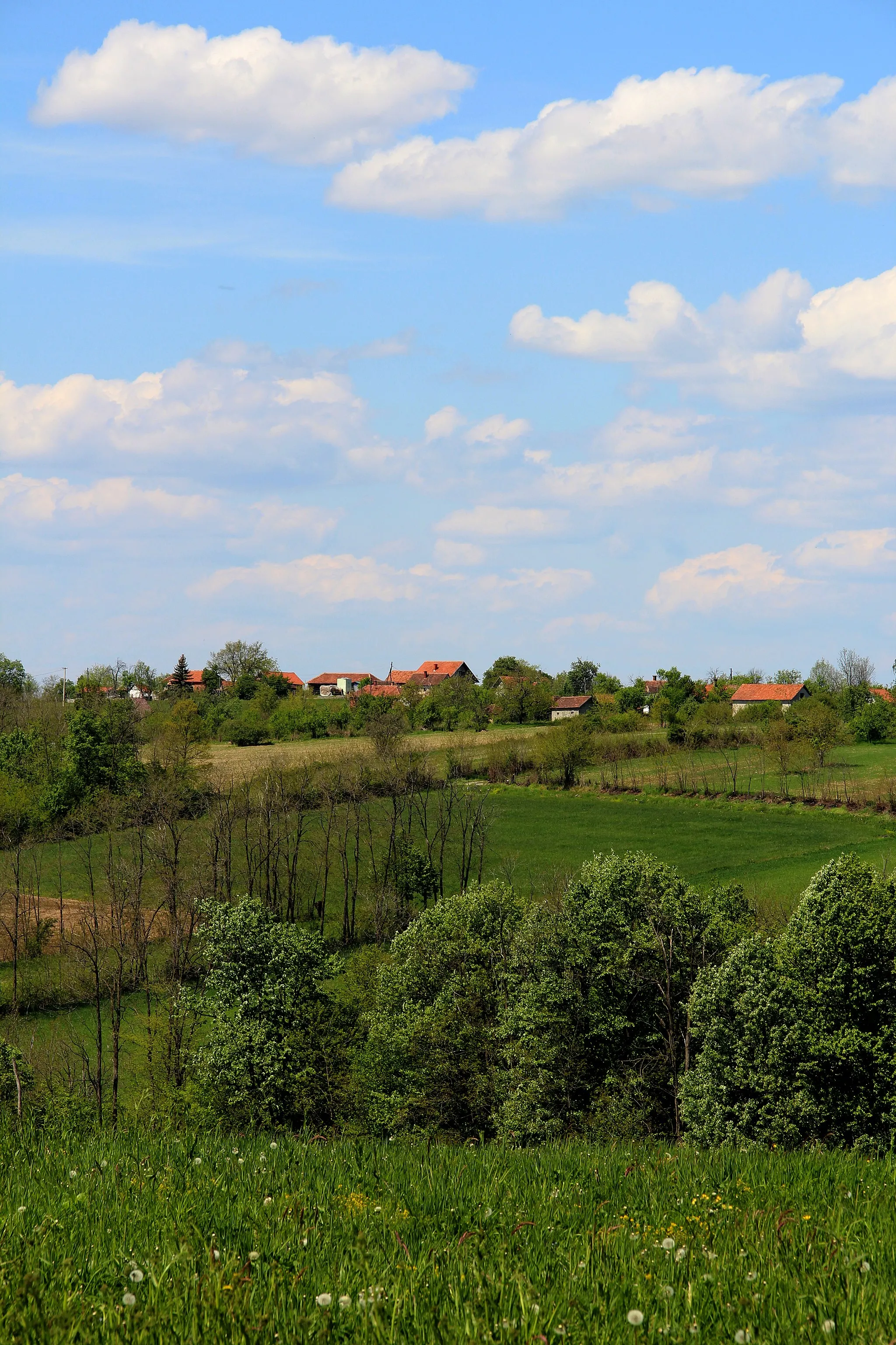 Photo showing: Jazovik village - Municipality of Valjevo - Western Serbia - panorama - behind the village Kozličić 2