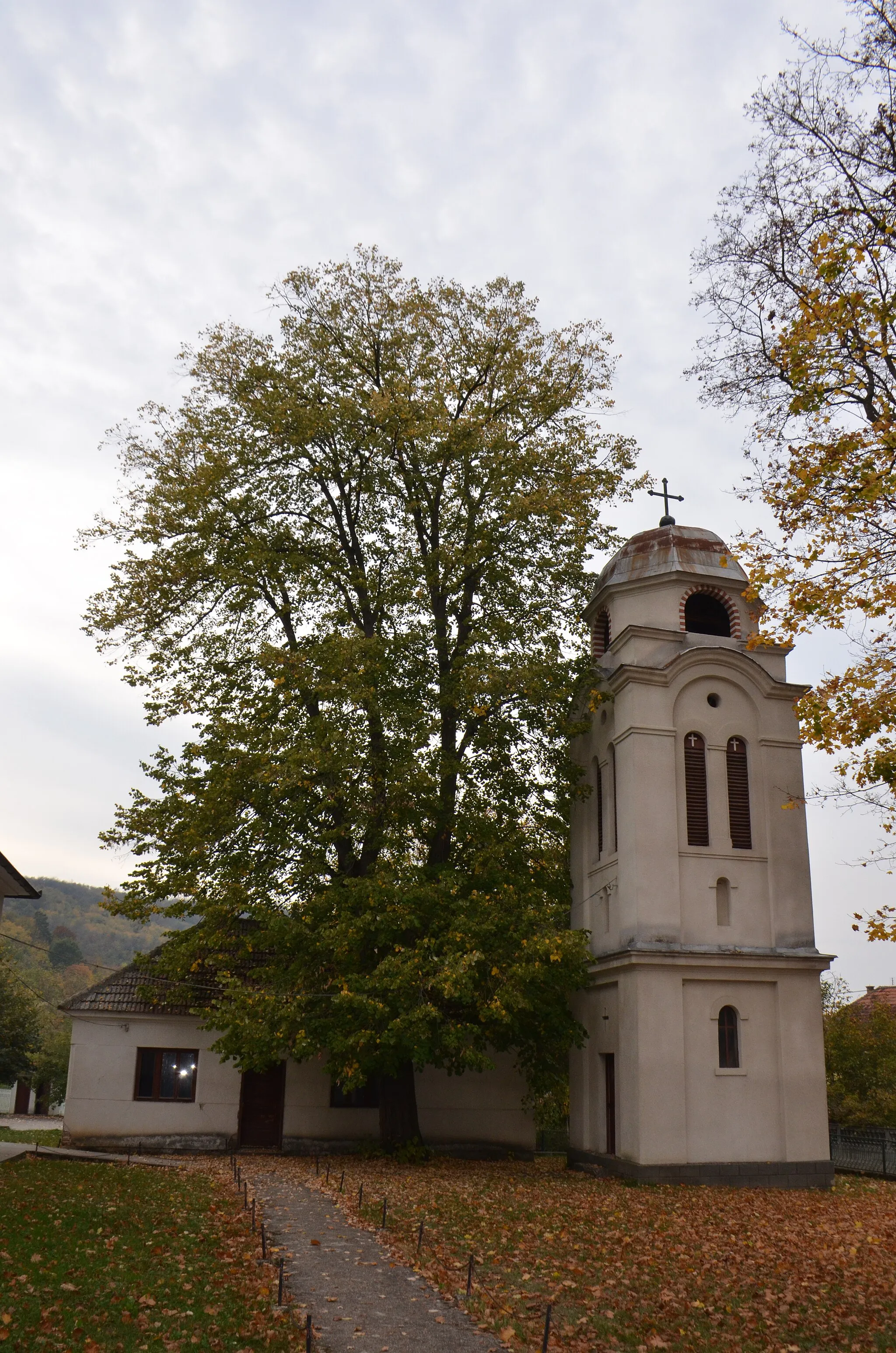 Photo showing: Запис - липа код цркве, село Гложане, Општина Свилајнац, Поморавски округ, Србија