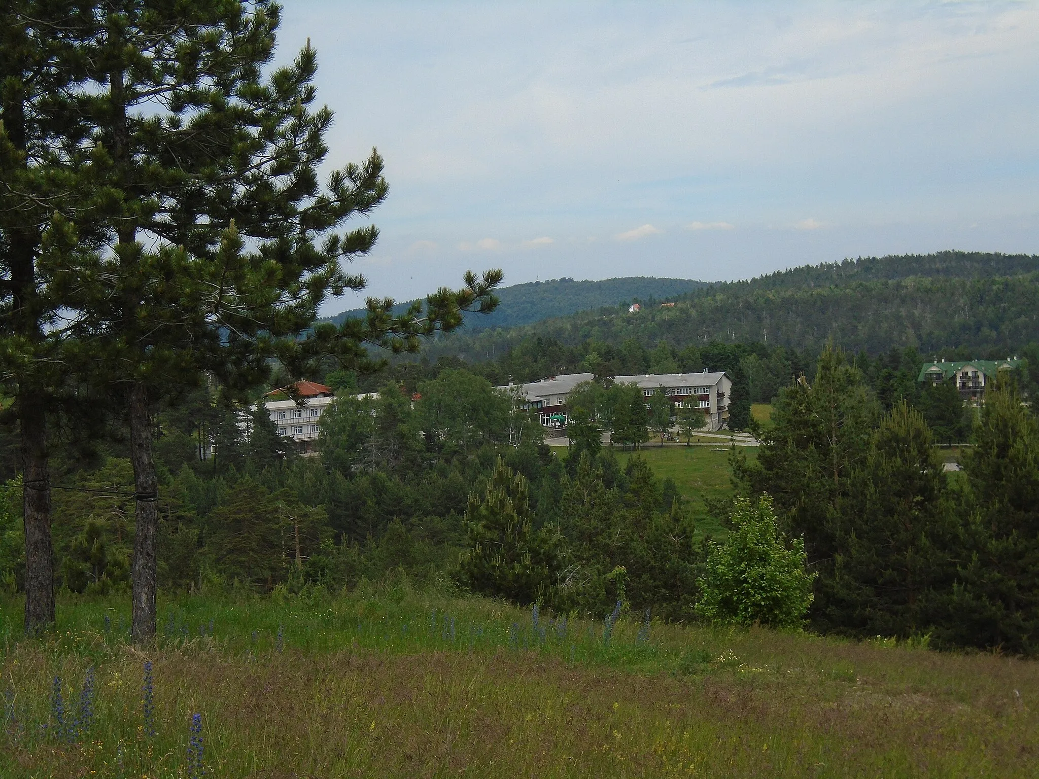 Photo showing: View at the children's resort Stevan Filipovic, Divčibare, mountain Maljen, Serbia