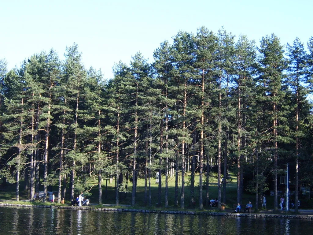 Photo showing: Парк поред Златиборског језера.  Слику снимио Kostas85.