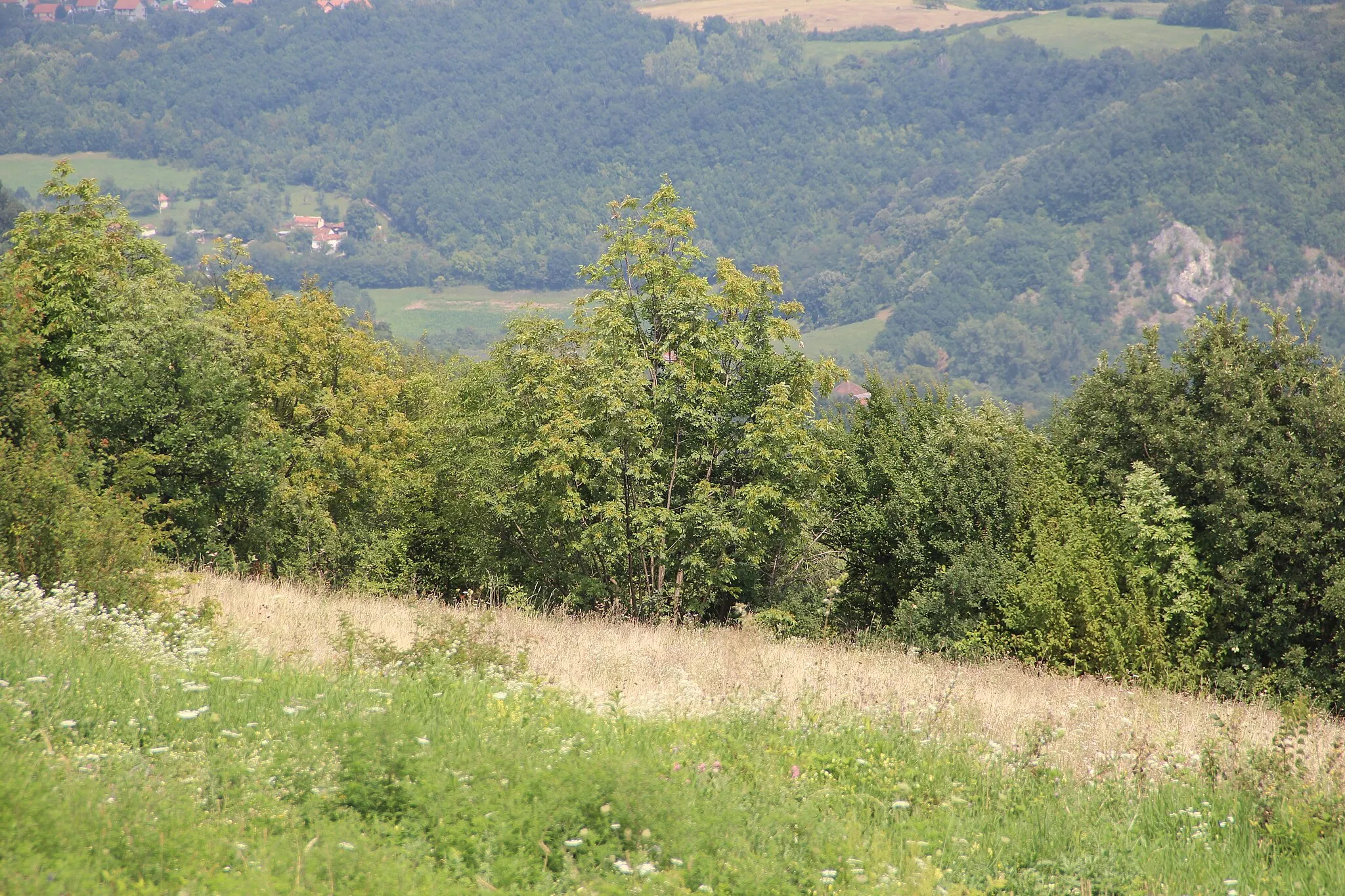 Photo showing: Degurić - village - Municipality of Valjevo - Western Serbia - Panorama 16