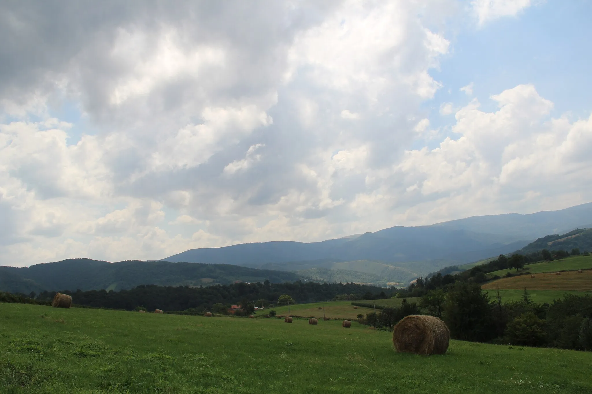 Photo showing: Suvobor - the village Planinica - the northern slopes of the mountain Suvobor 4