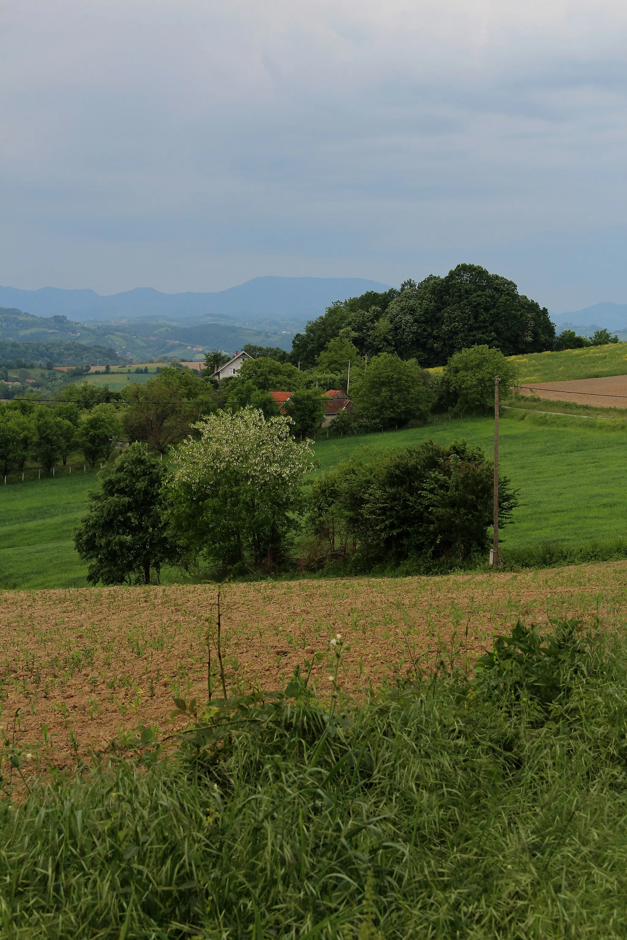 Photo showing: Zlatarić village - Municipality of Valjevo - Western Serbia - Panorama 8