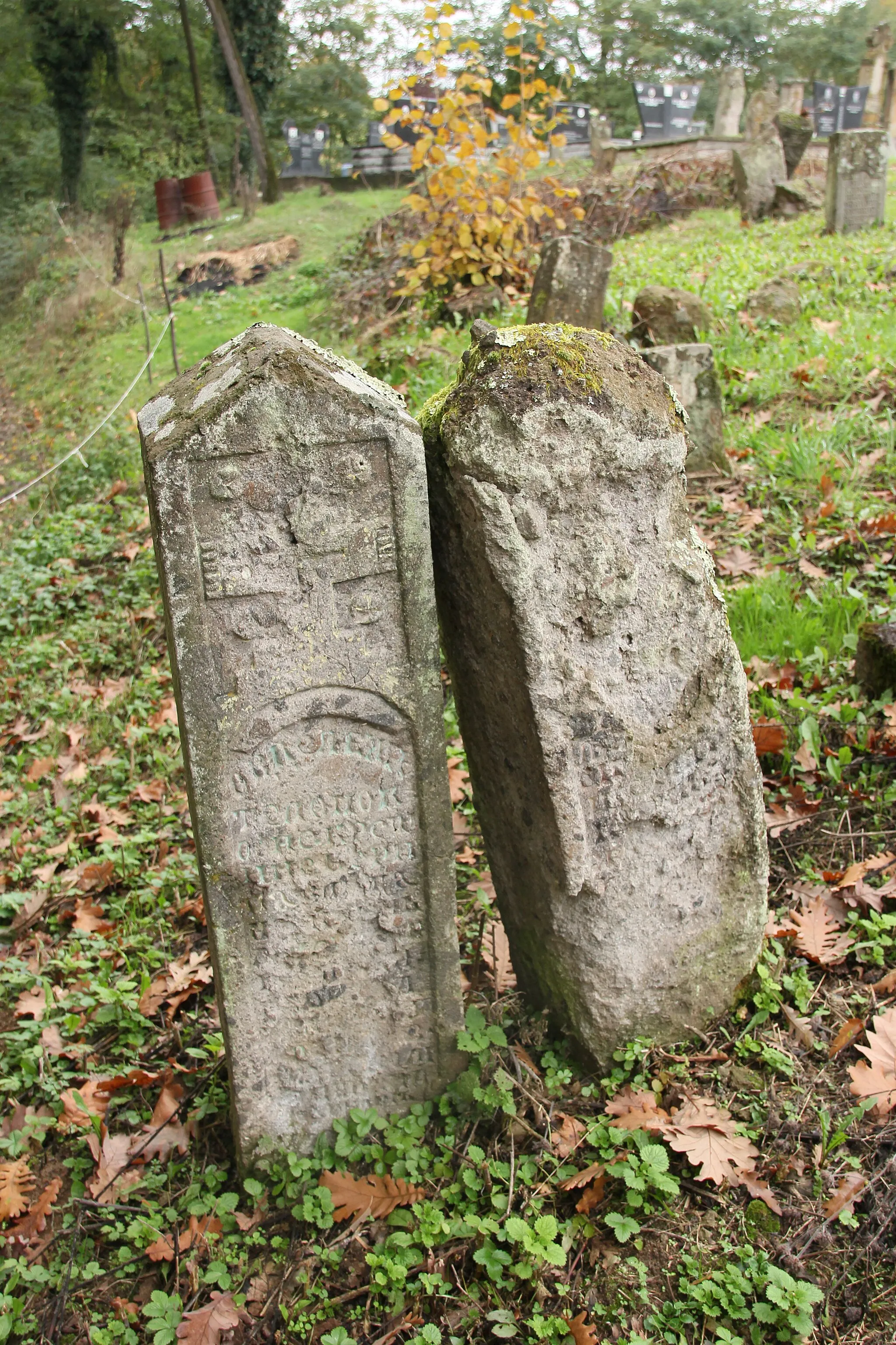 Photo showing: Old gravestones at the cemetery near the Church of St. John the Baptist in the village of Donji Branetici, (the municipality of Gornji Milanovac), Serbia.