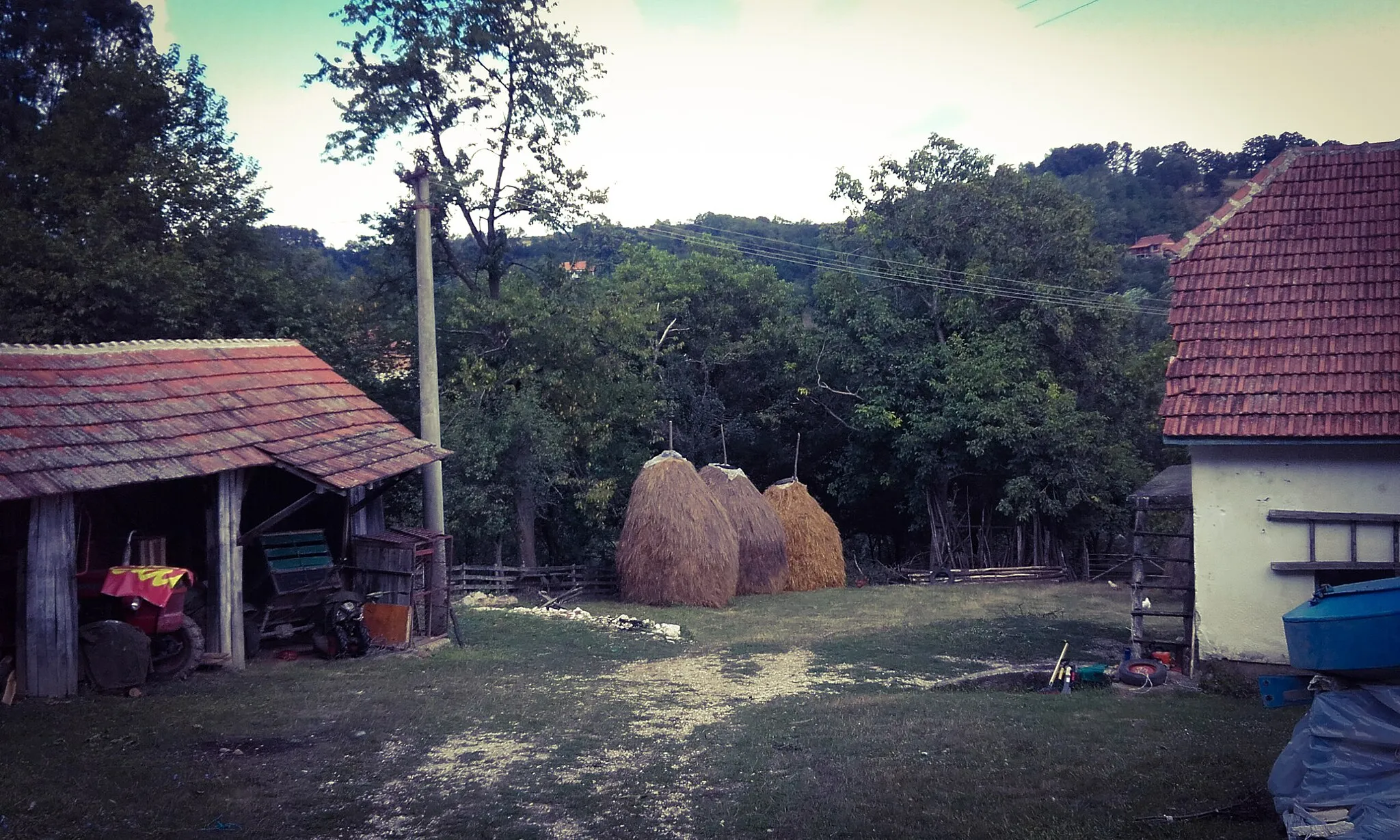 Photo showing: Gornja Trešnjevica nature