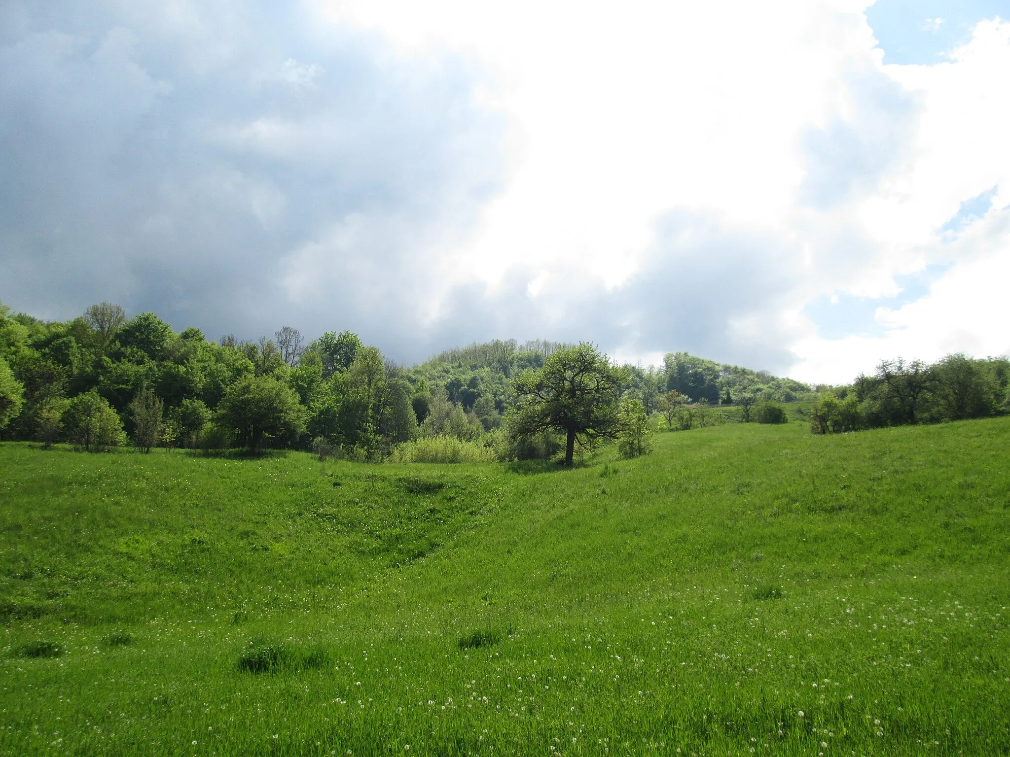 Photo showing: View over the village, Bogdanica