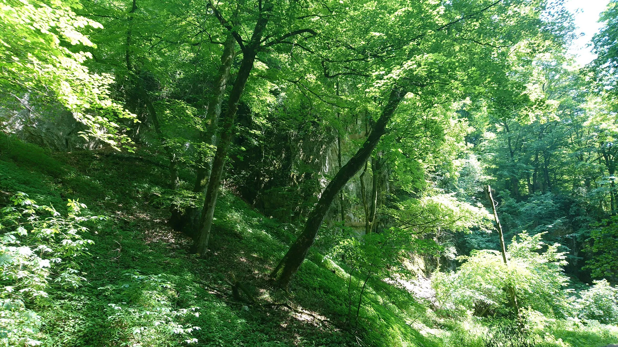 Photo showing: Forest and rocks in the Strmina nature reserve