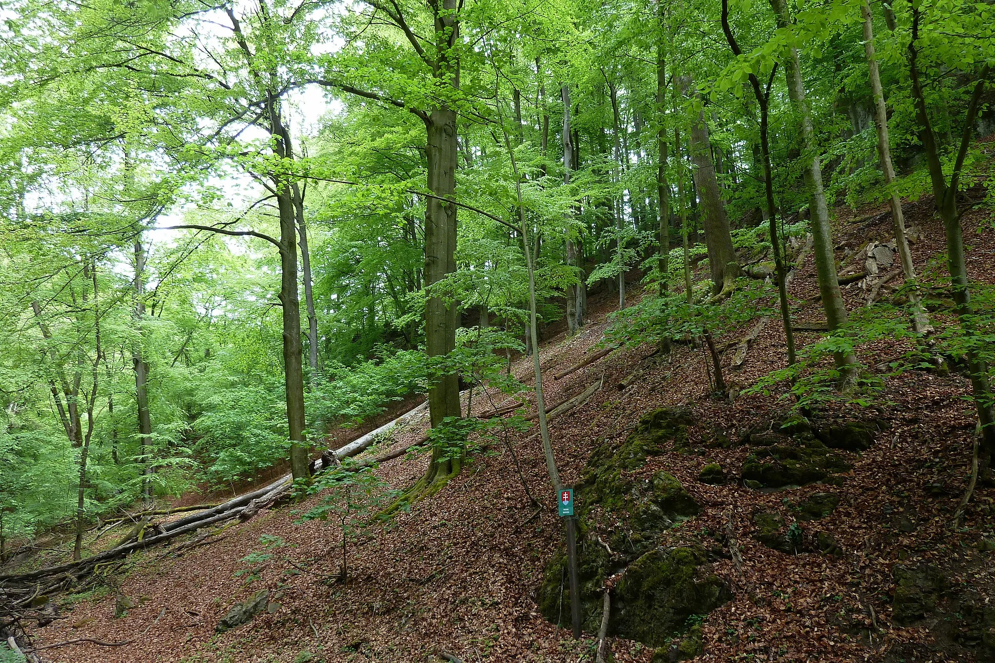 Photo showing: Strmina nature reserve