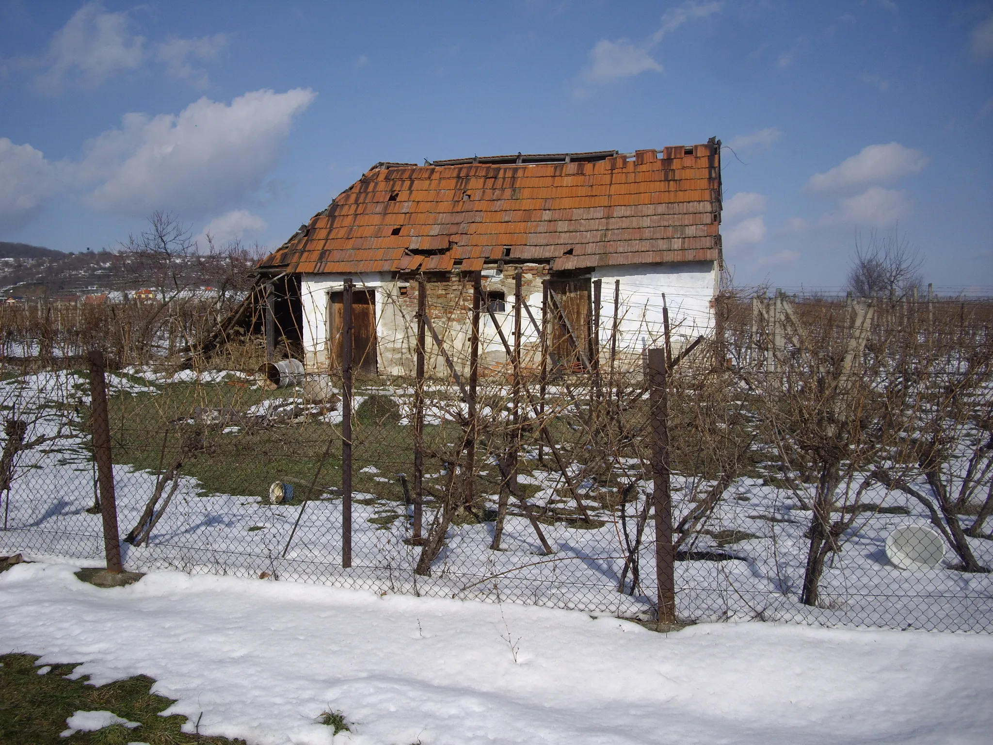 Photo showing: ZACHVÍĽU TO SPADNE