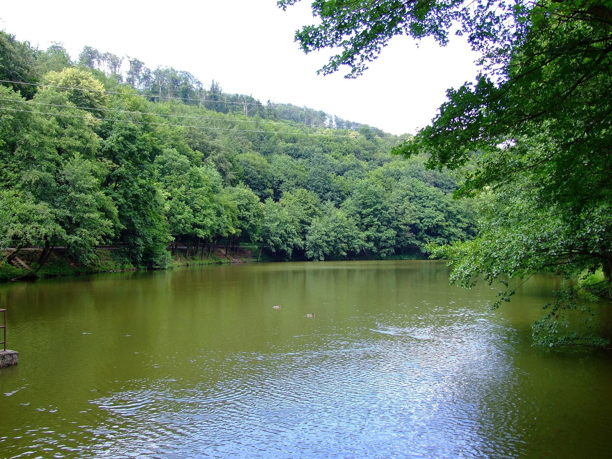 Photo showing: Vydrica pond in Bratislava, SK