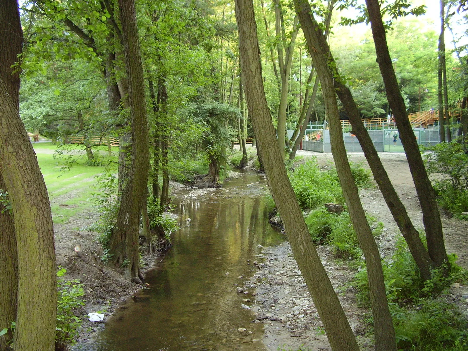 Photo showing: Vydrica near Železná studienka, part of the Bratislava Forest Park.