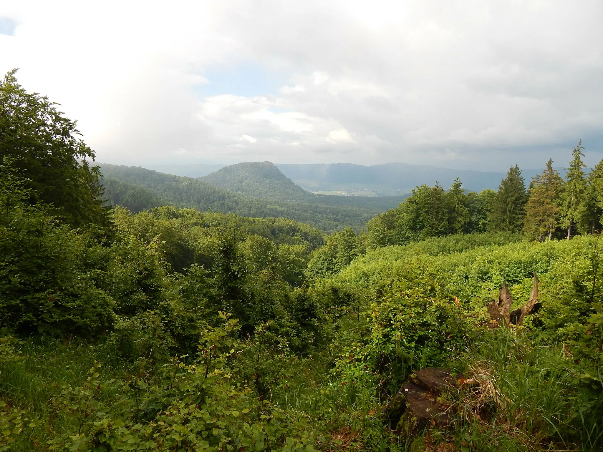 Photo showing: 972 51 Handlová, Slovakia