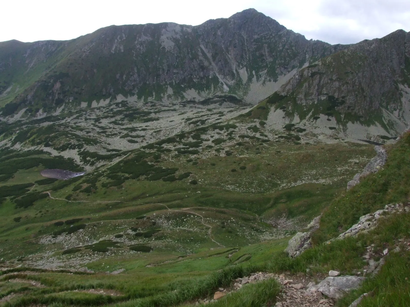 Photo showing: Dolina Bystra. W głębi Zadnia Kopa