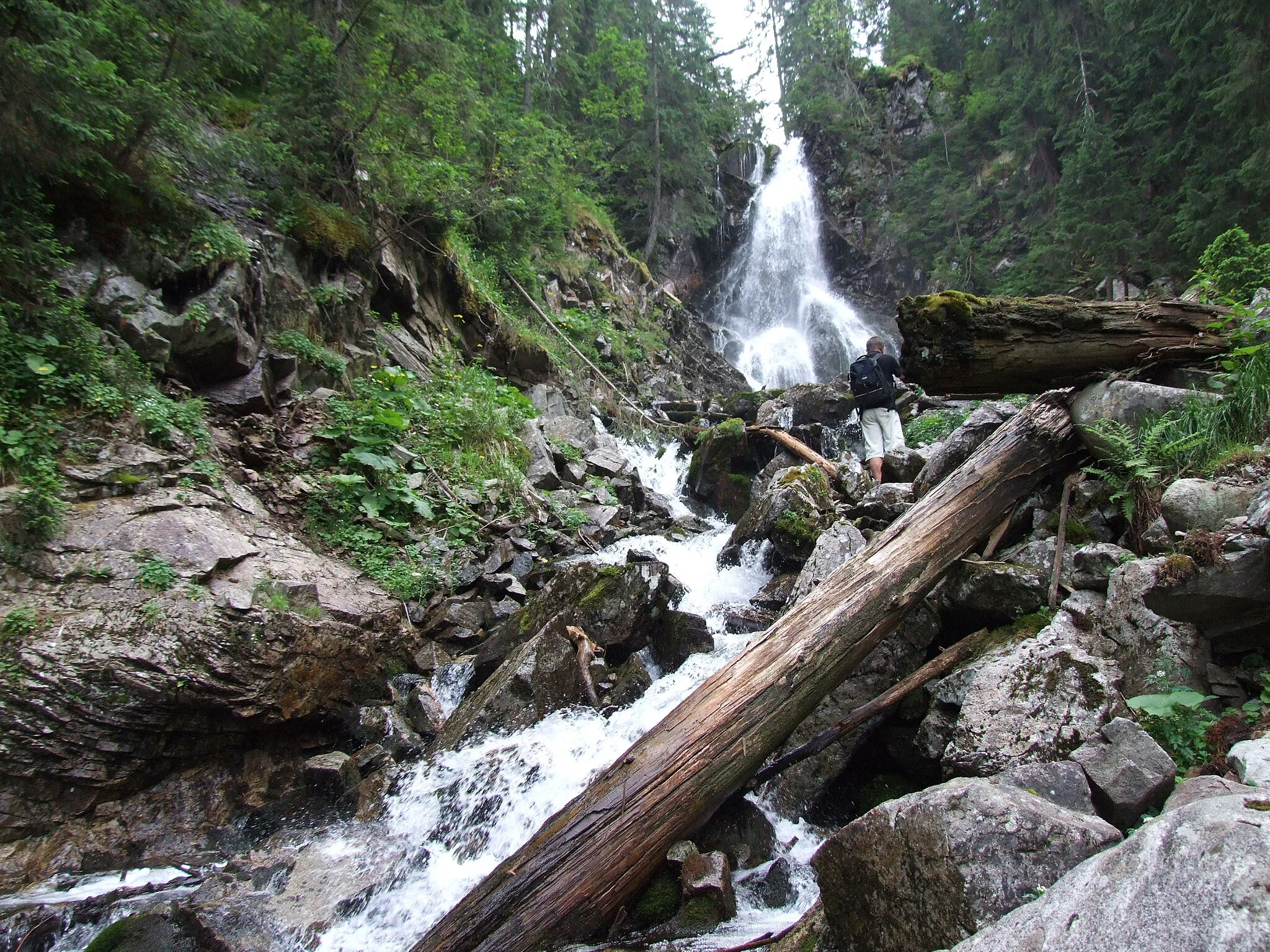 Photo showing: Rohackie Wodospady (West Tatra Mountains)