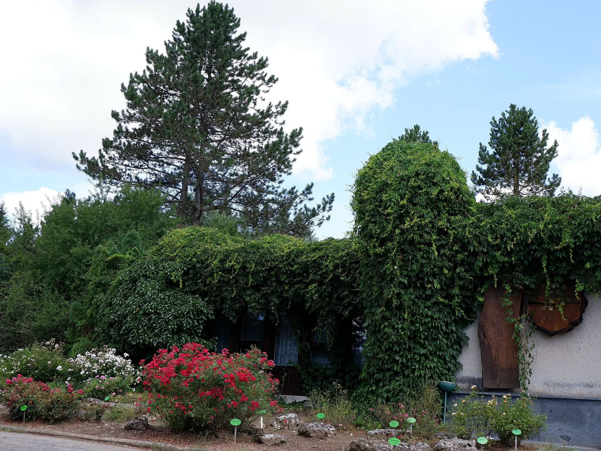 Photo showing: Arborétum Borová Hora, chránený areál, obec Sliač, Zvolen, evidenčné číslo 202