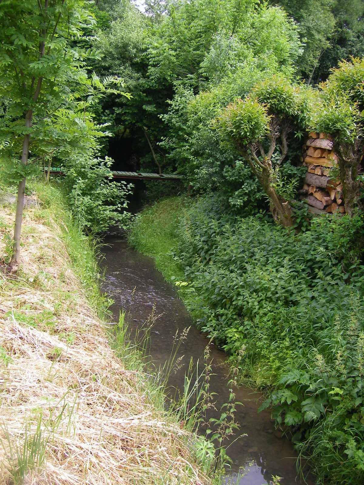 Photo showing: Dolný Kalník - stream