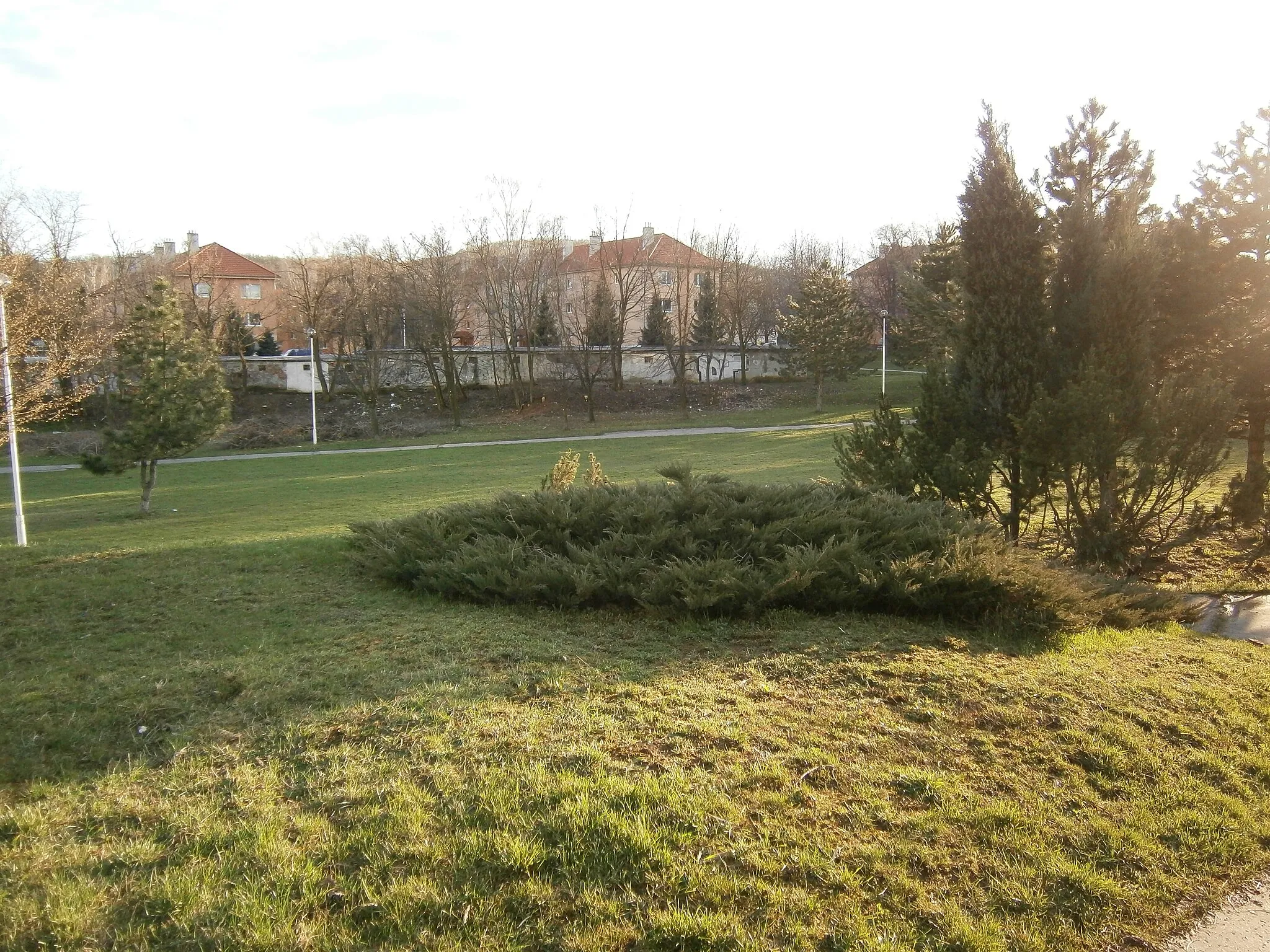 Photo showing: Park na Lipníku