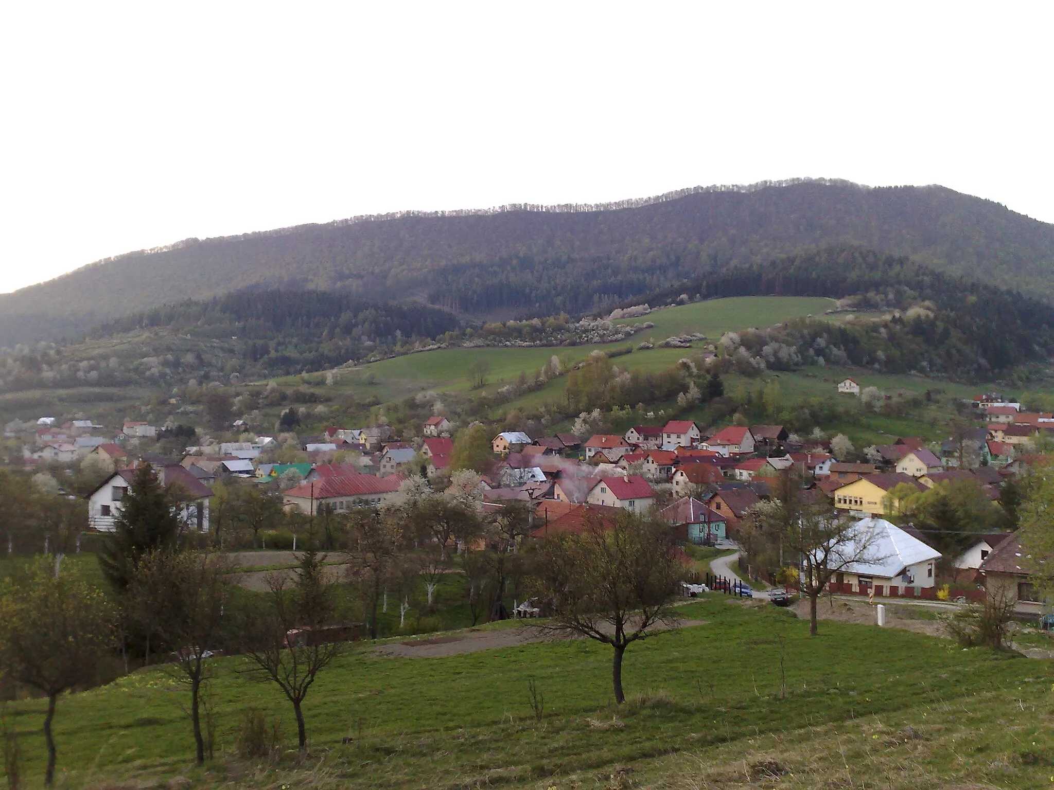 Photo showing: Dolny Vadicov - village