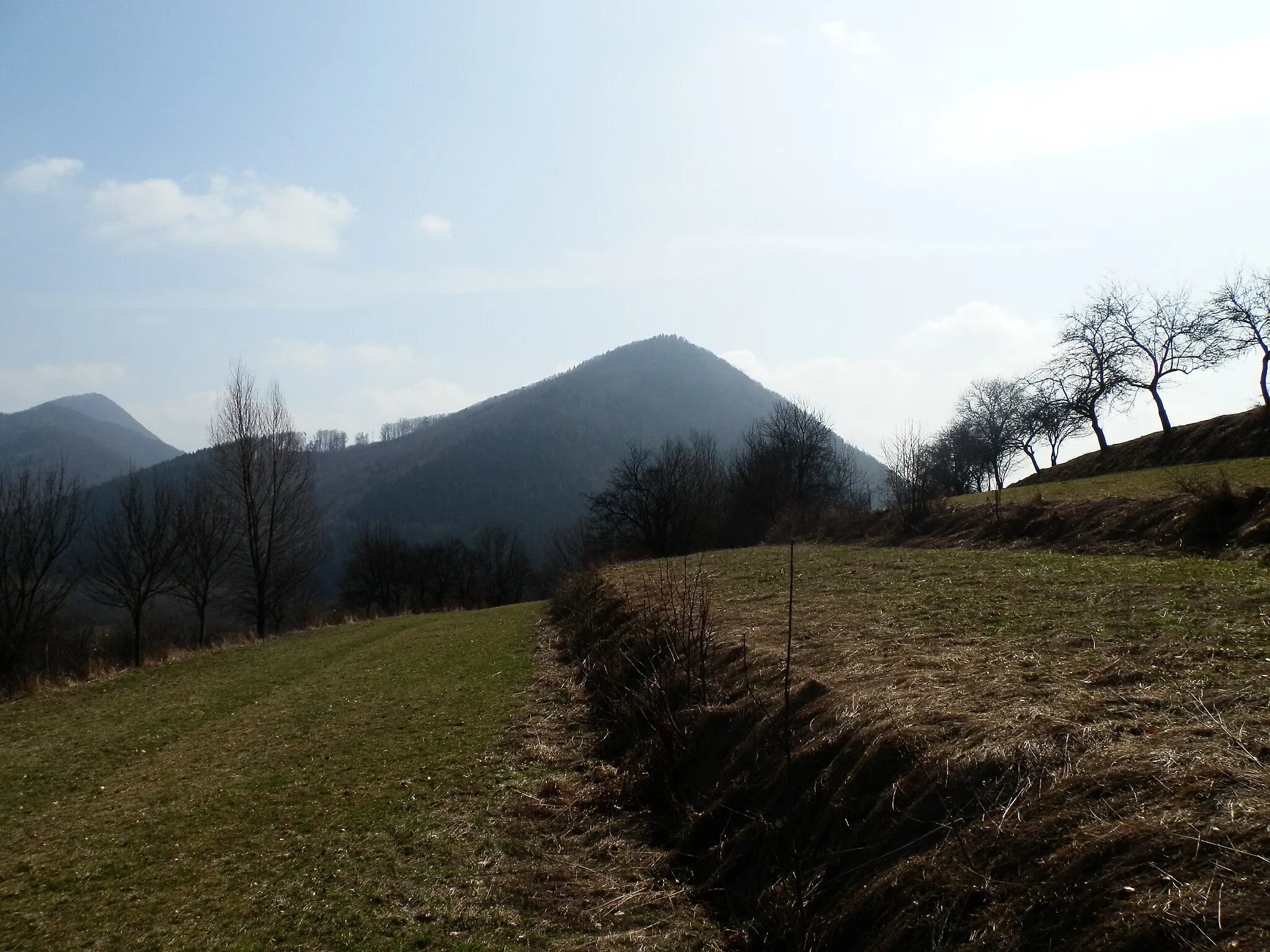 Photo showing: Brodnianka 720 m.n.m