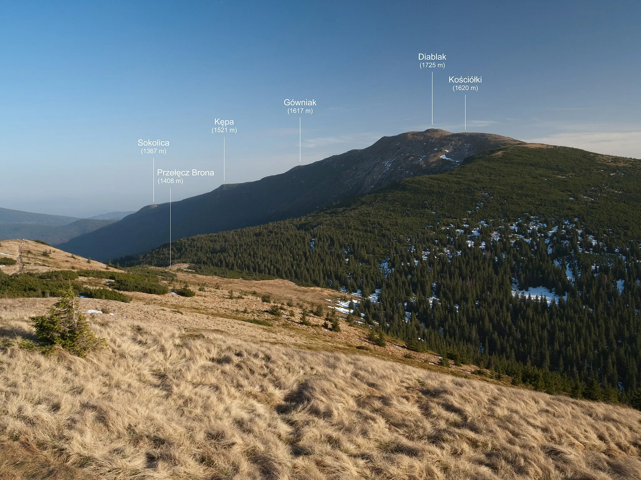 Photo showing: The massif of Babia Góra – view from Mała Babia Góra.