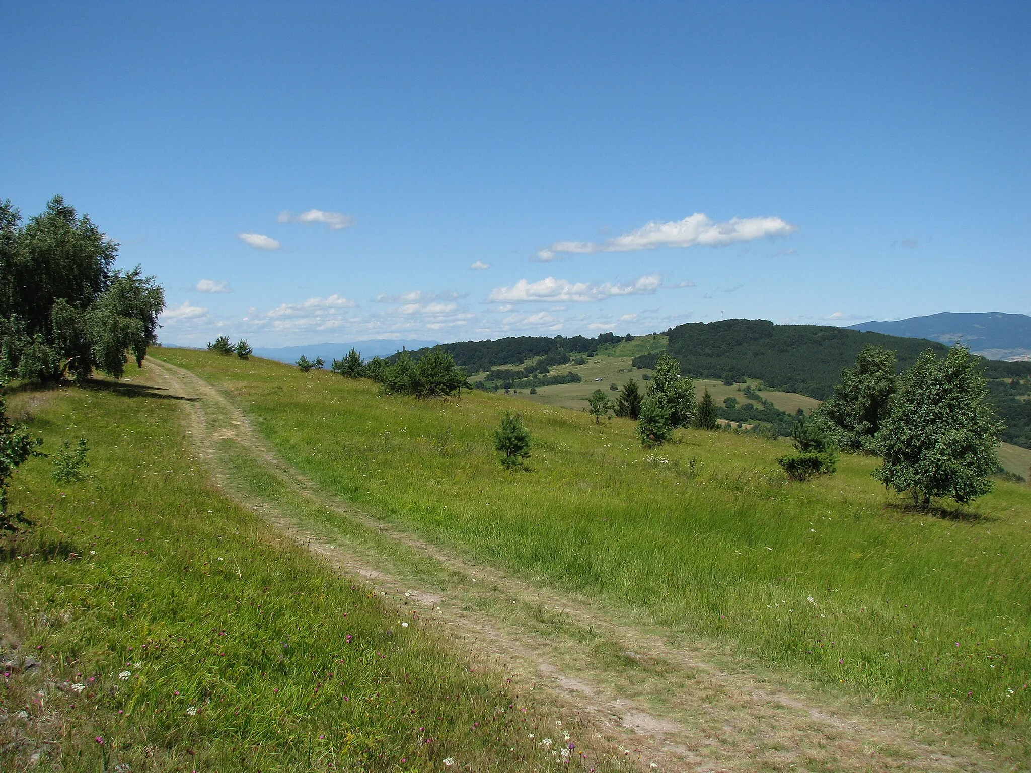 Photo showing: Pohľad na Javor z Jasenia