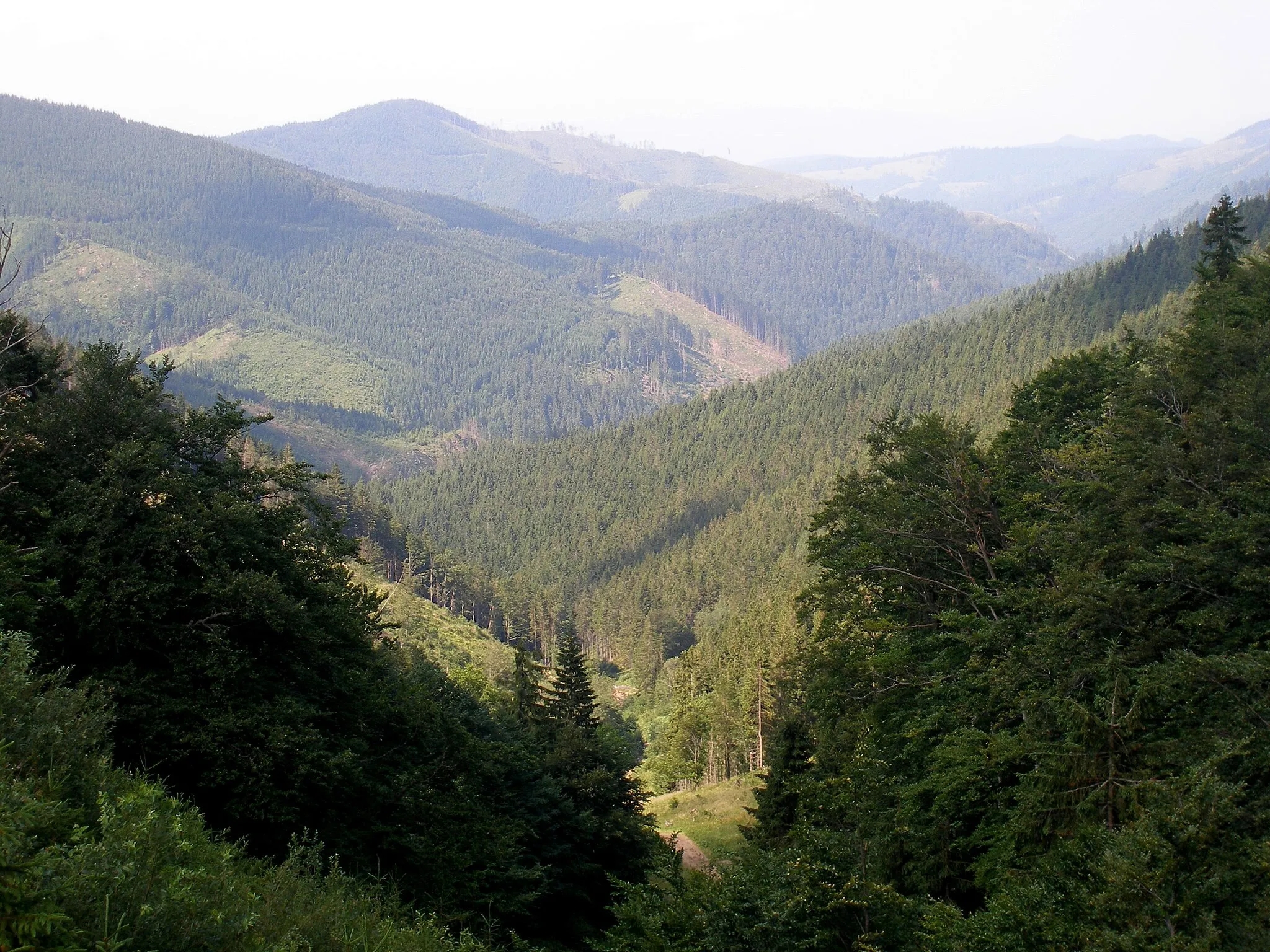 Photo showing: Turistické stredisko  a horský priechod Čertovica. Nízke Tatry.