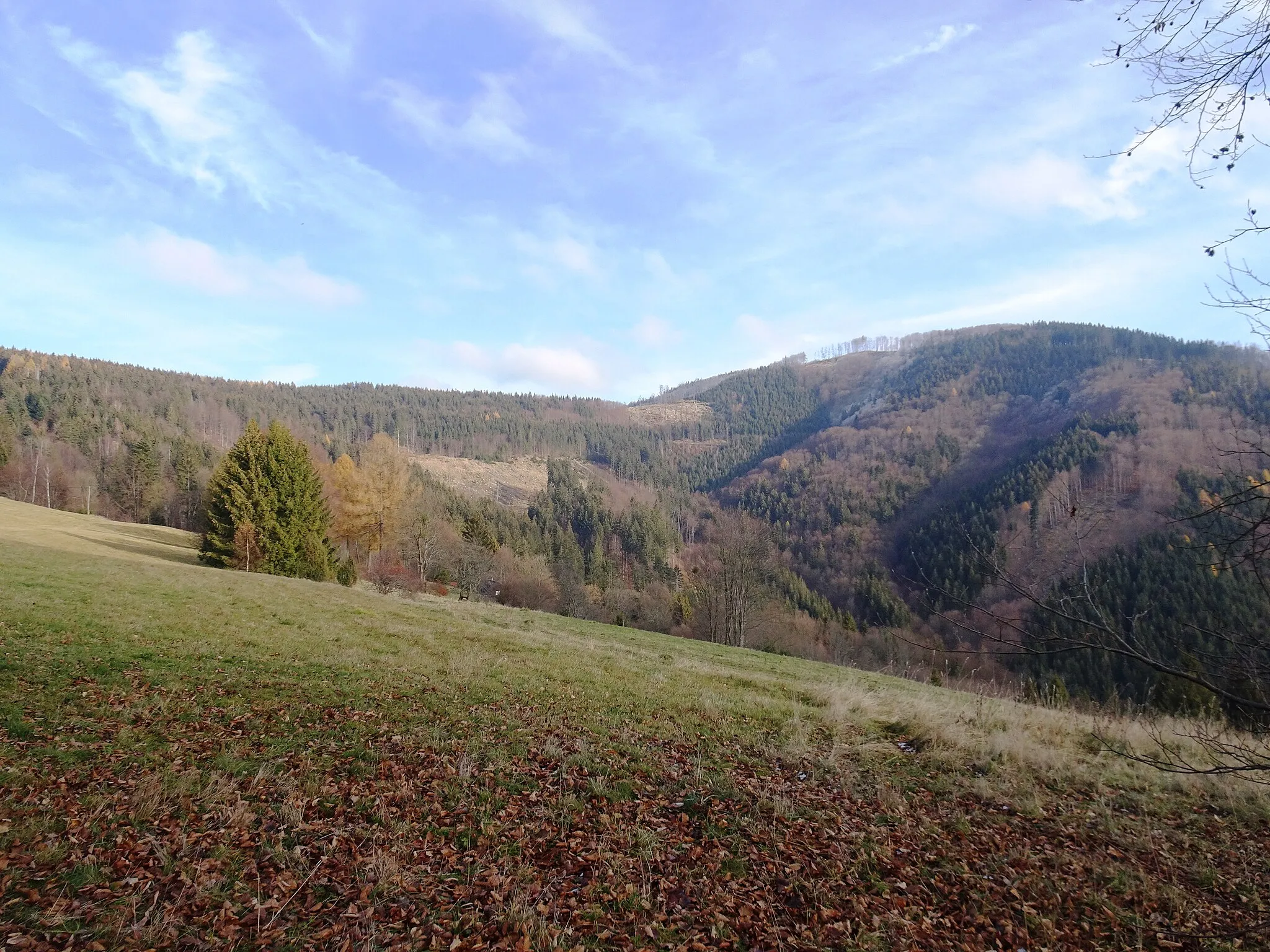 Photo showing: Dolní Lomná, Frýdek-Místek District, Czechia.