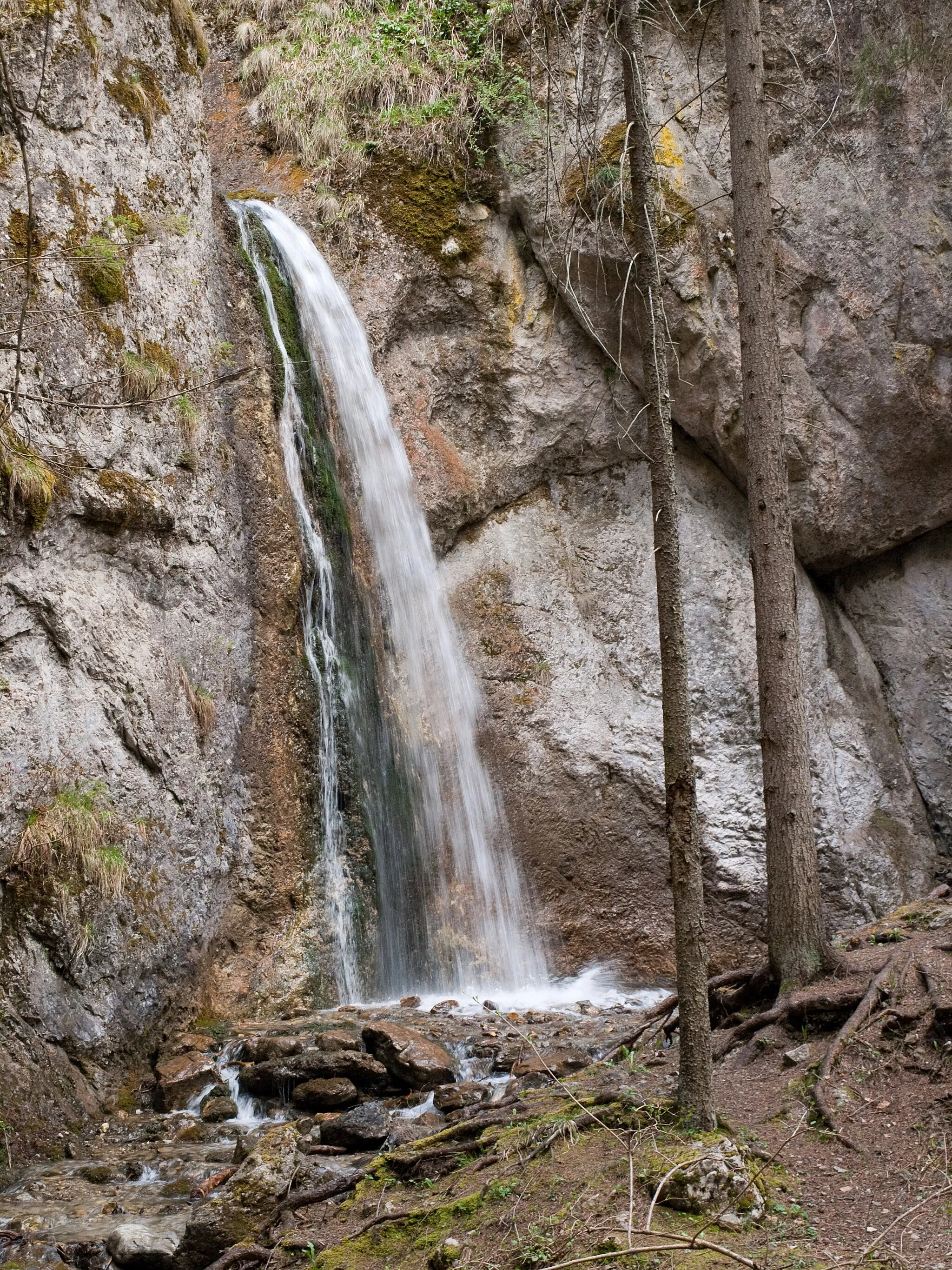 Photo showing: Lower waterfall (Poľovníkov vodopád) in Šanková (Starej vody) valley.