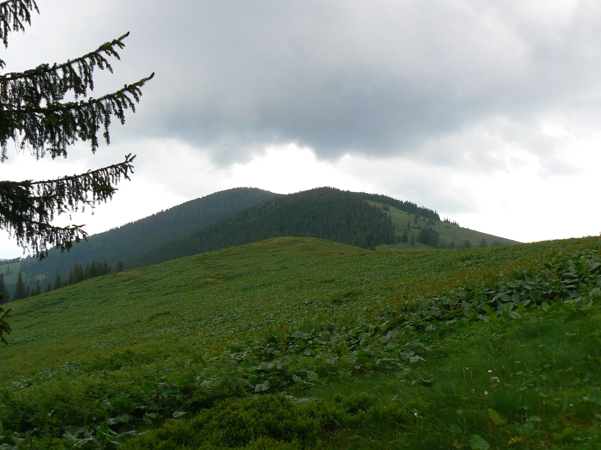 Photo showing: Romanka widziana z Hali Pawlusiej