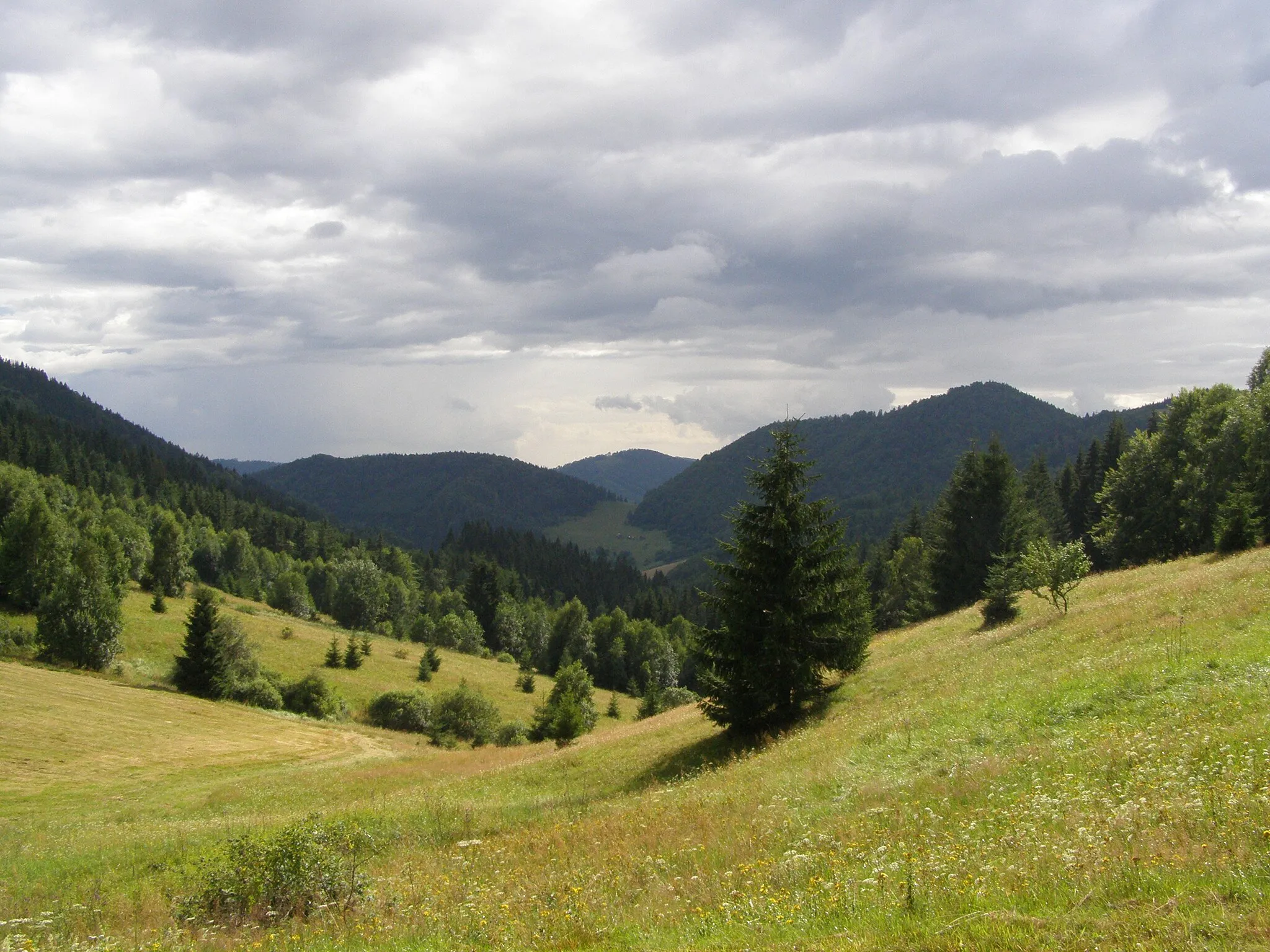 Photo showing: Slovenské rudohoří, Veporské vrchy, Fabova hoľa,spohled ze sedla Burda na jihozápad do údolí potoka Rimava, vpravo vrchol Kučalach (1141 m), vlevo Strieborná (987 m)